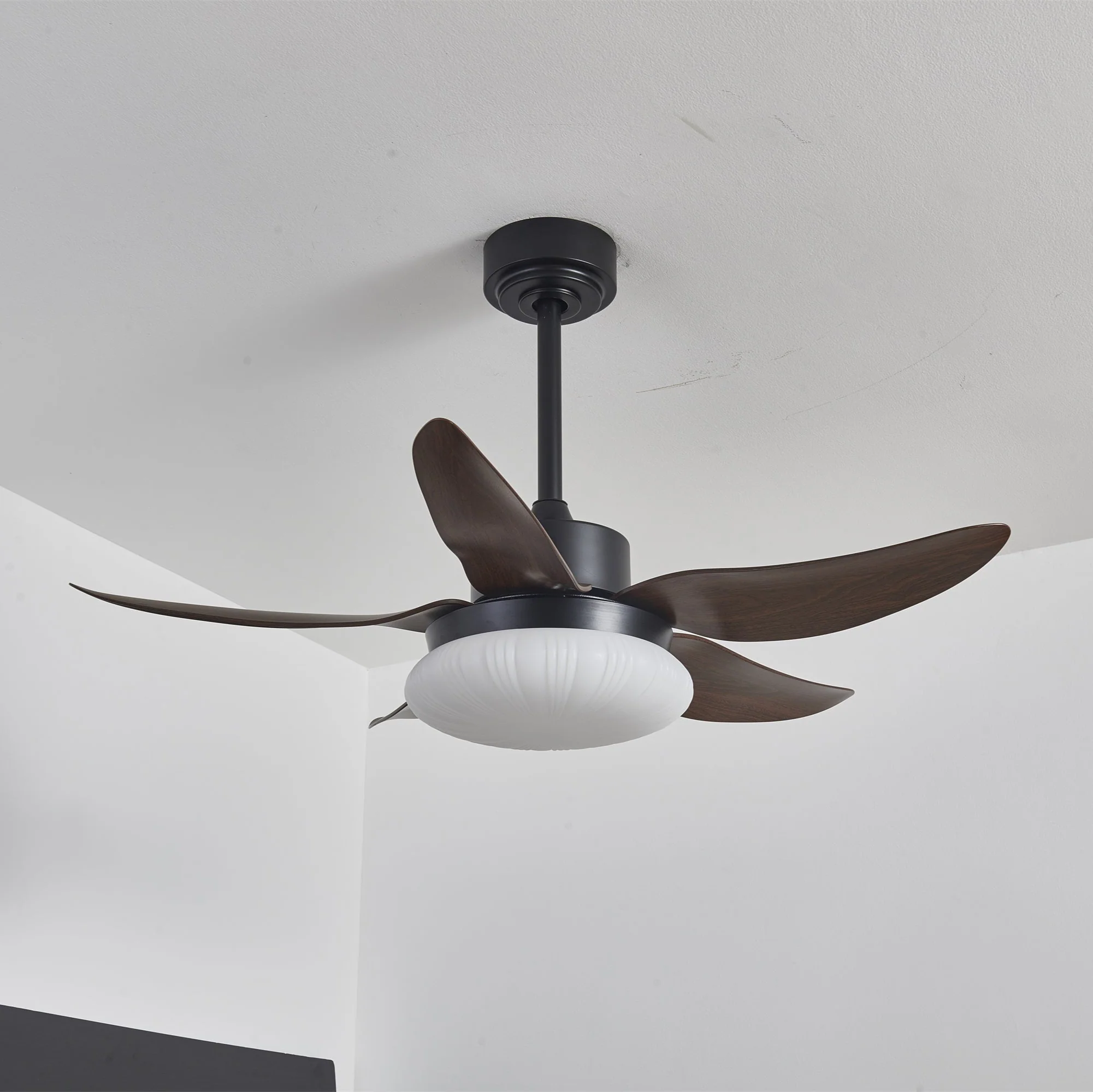 Aero Palm Ceiling Fan Light - Image 10