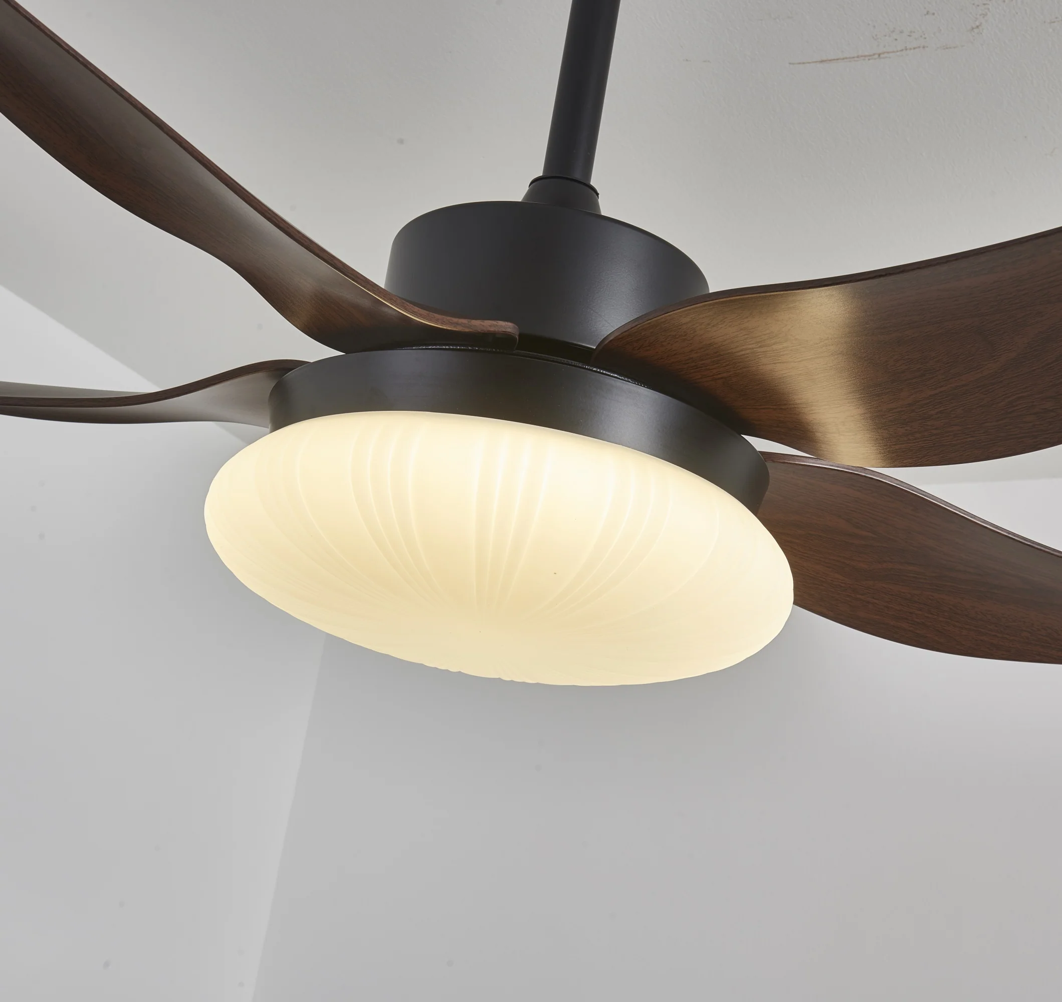 Aero Palm Ceiling Fan Light - Image 11