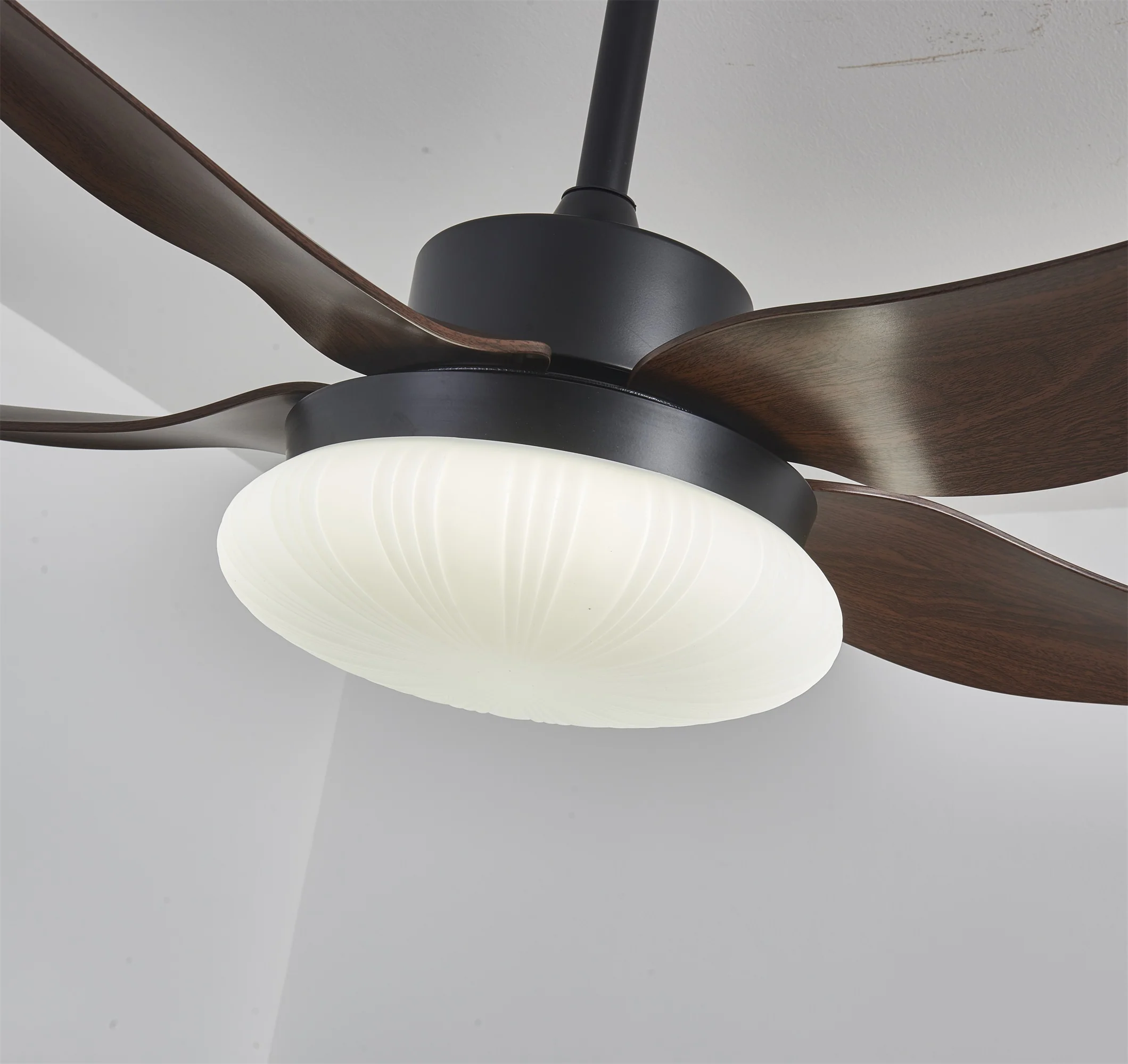 Aero Palm Ceiling Fan Light - Image 12