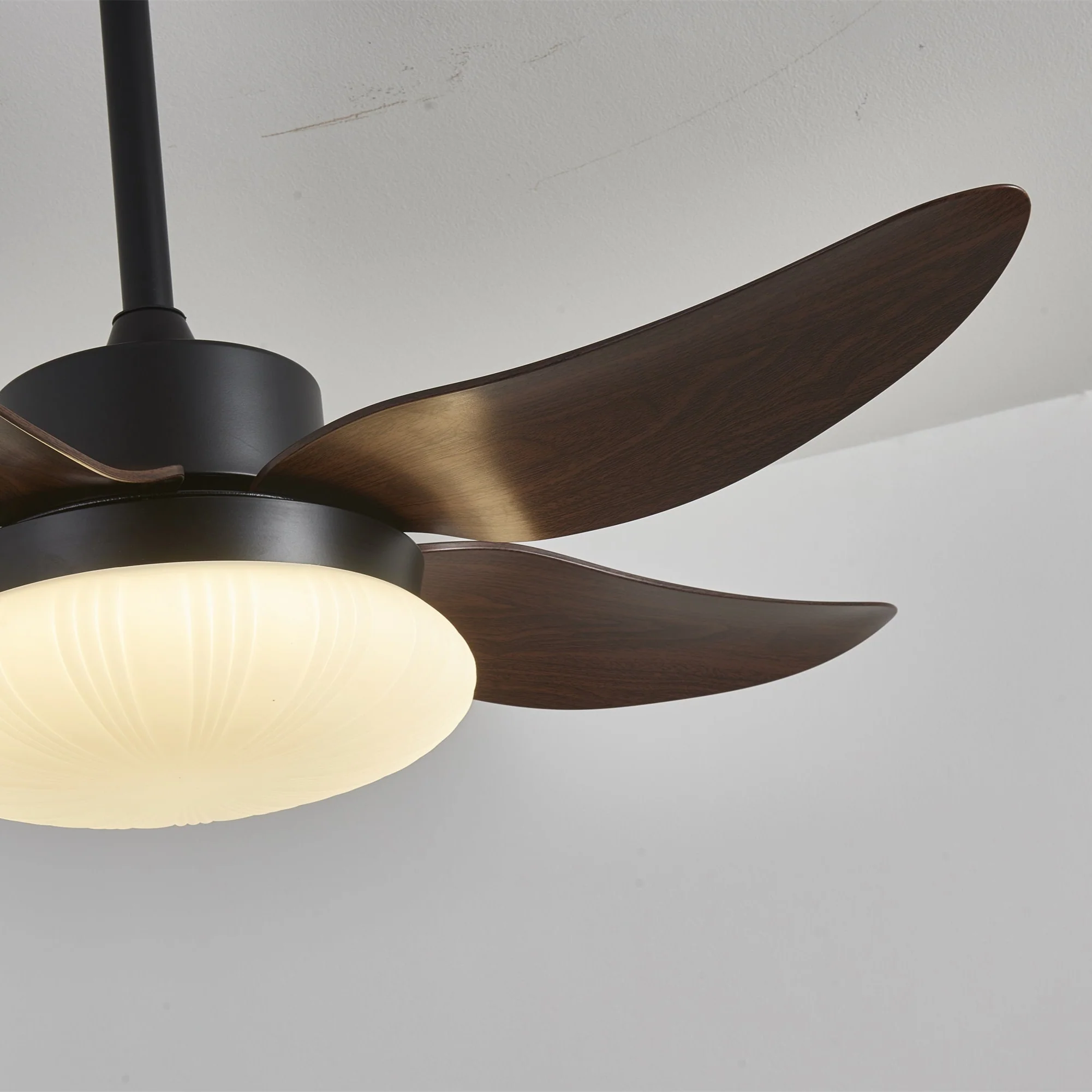Aero Palm Ceiling Fan Light - Image 14
