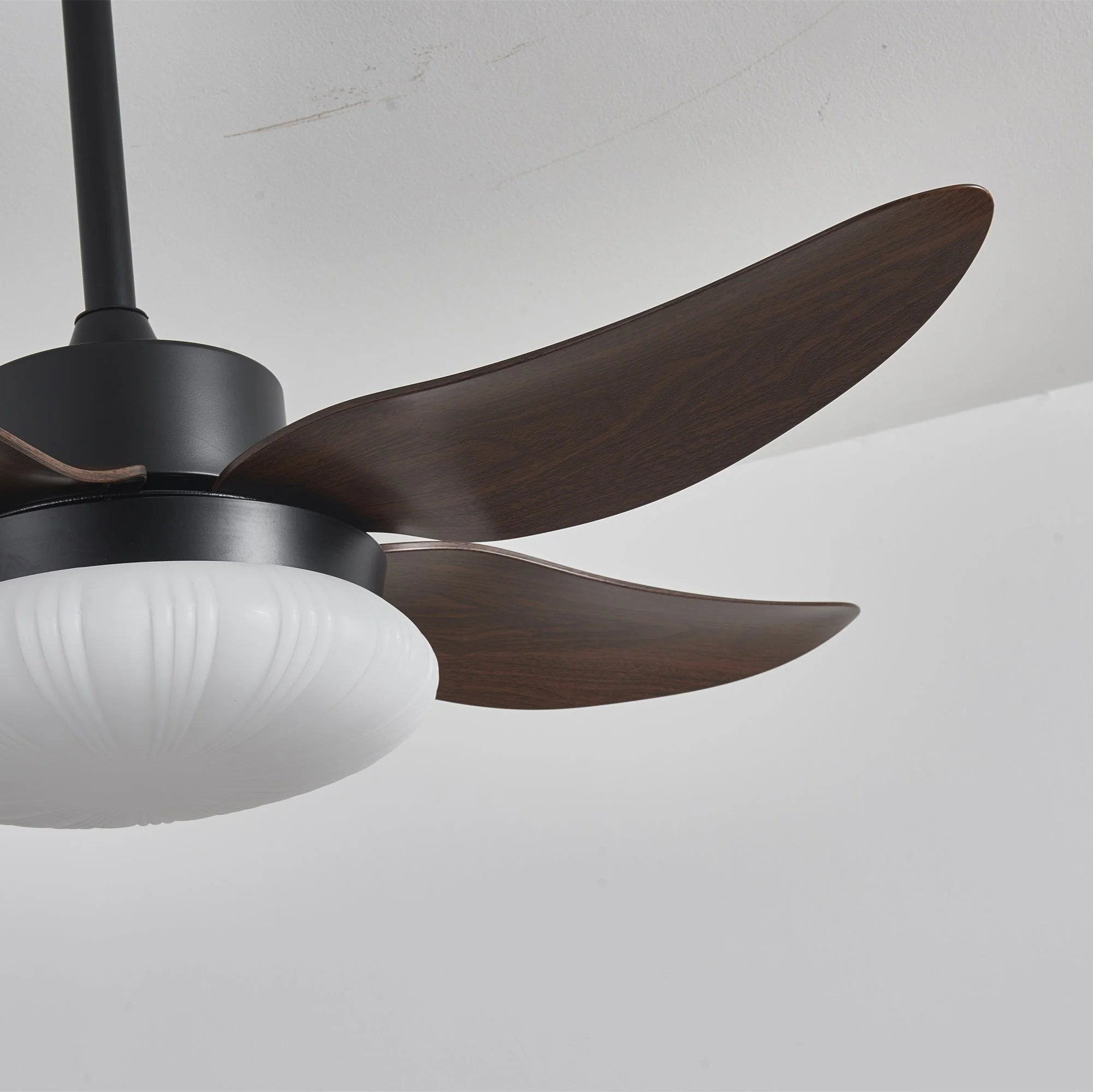Aero Palm Ceiling Fan Light - Image 15