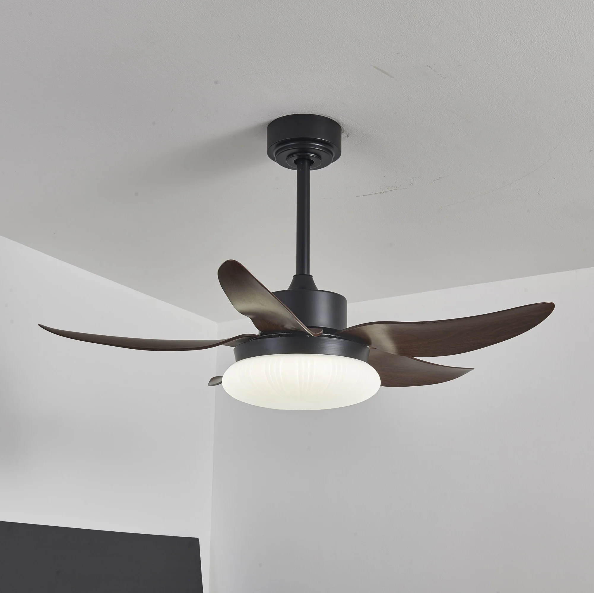 Aero Palm Ceiling Fan Light - Image 3