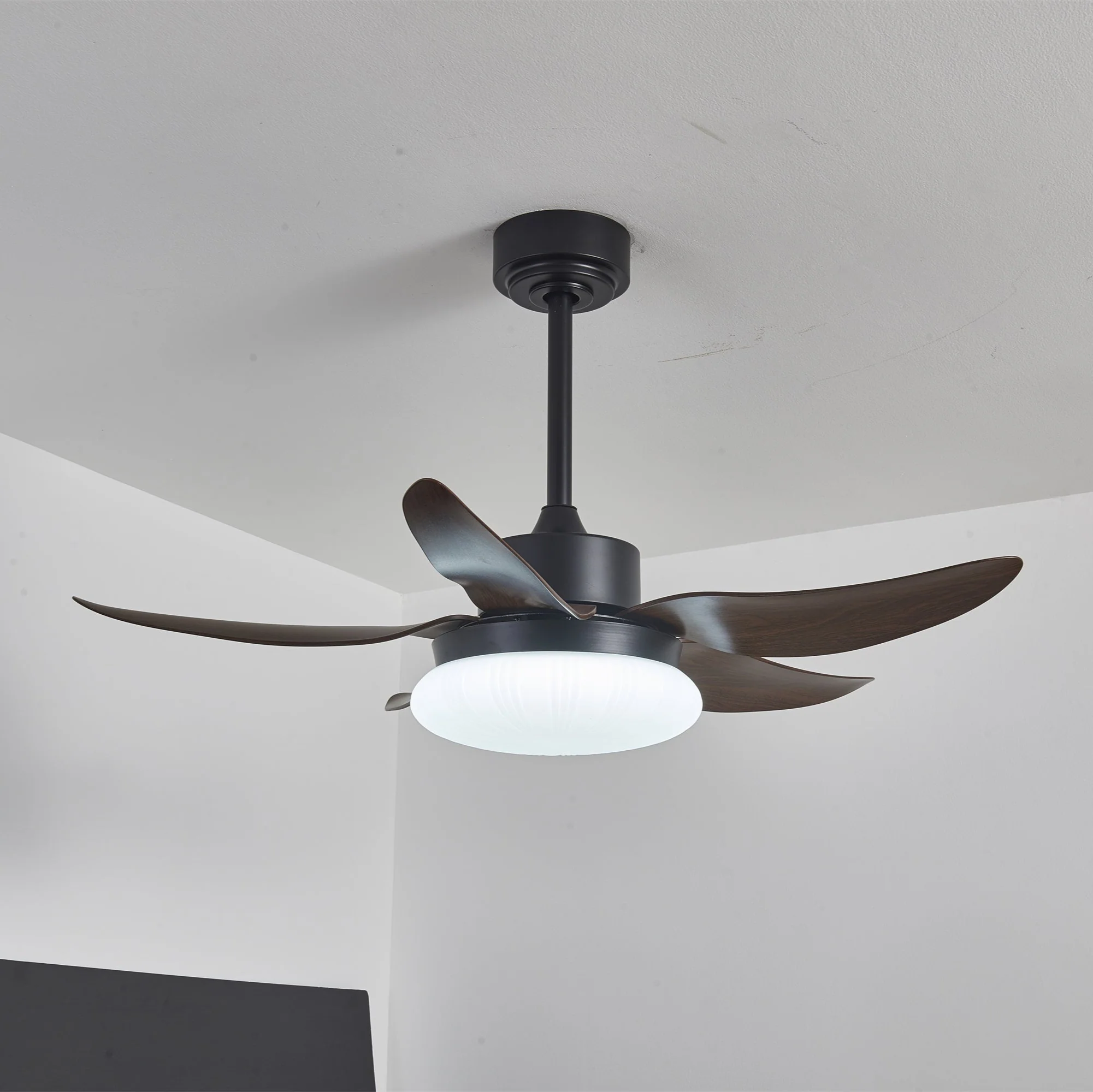 Aero Palm Ceiling Fan Light - Image 4