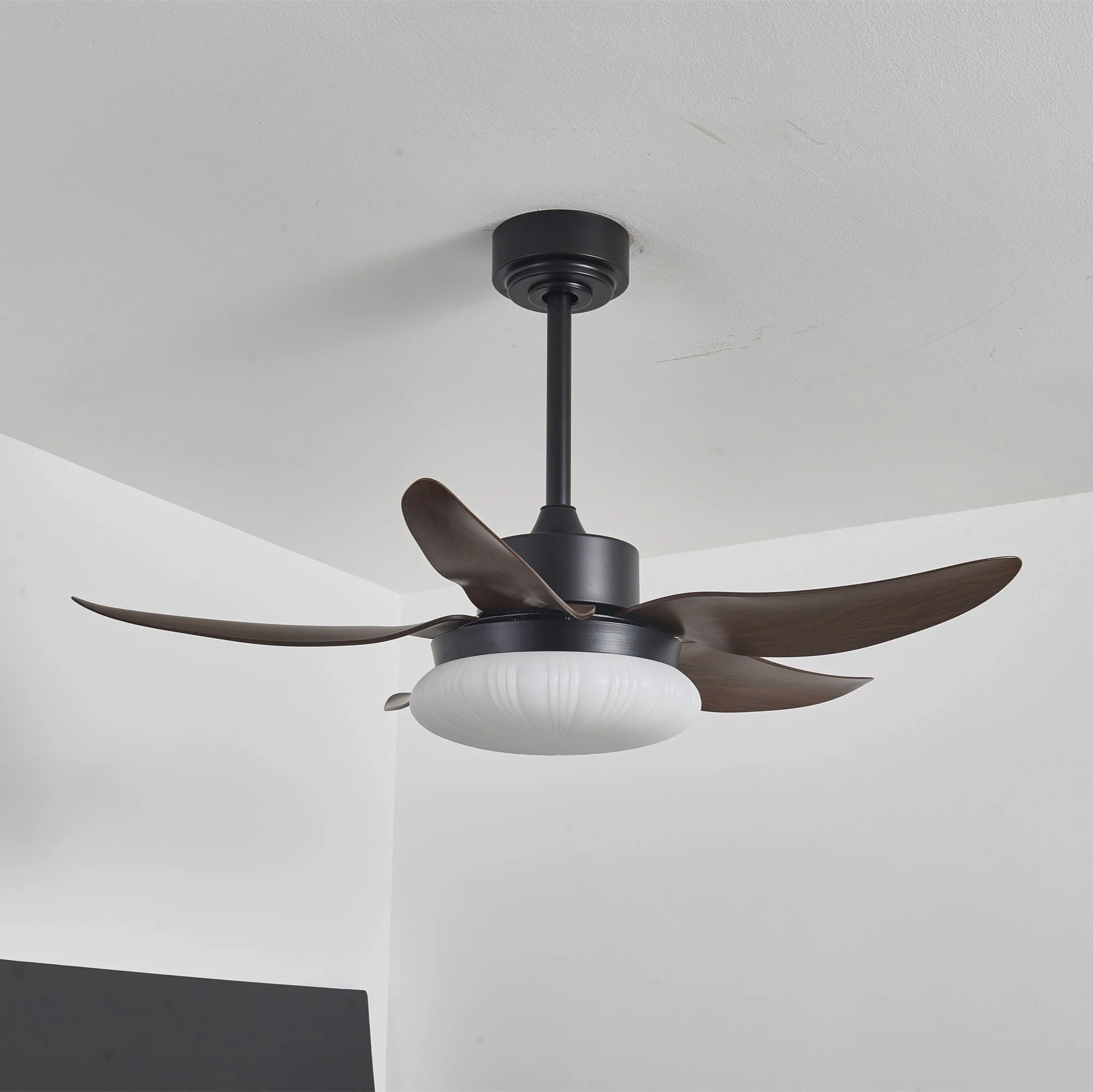 Aero Palm Ceiling Fan Light - Image 5
