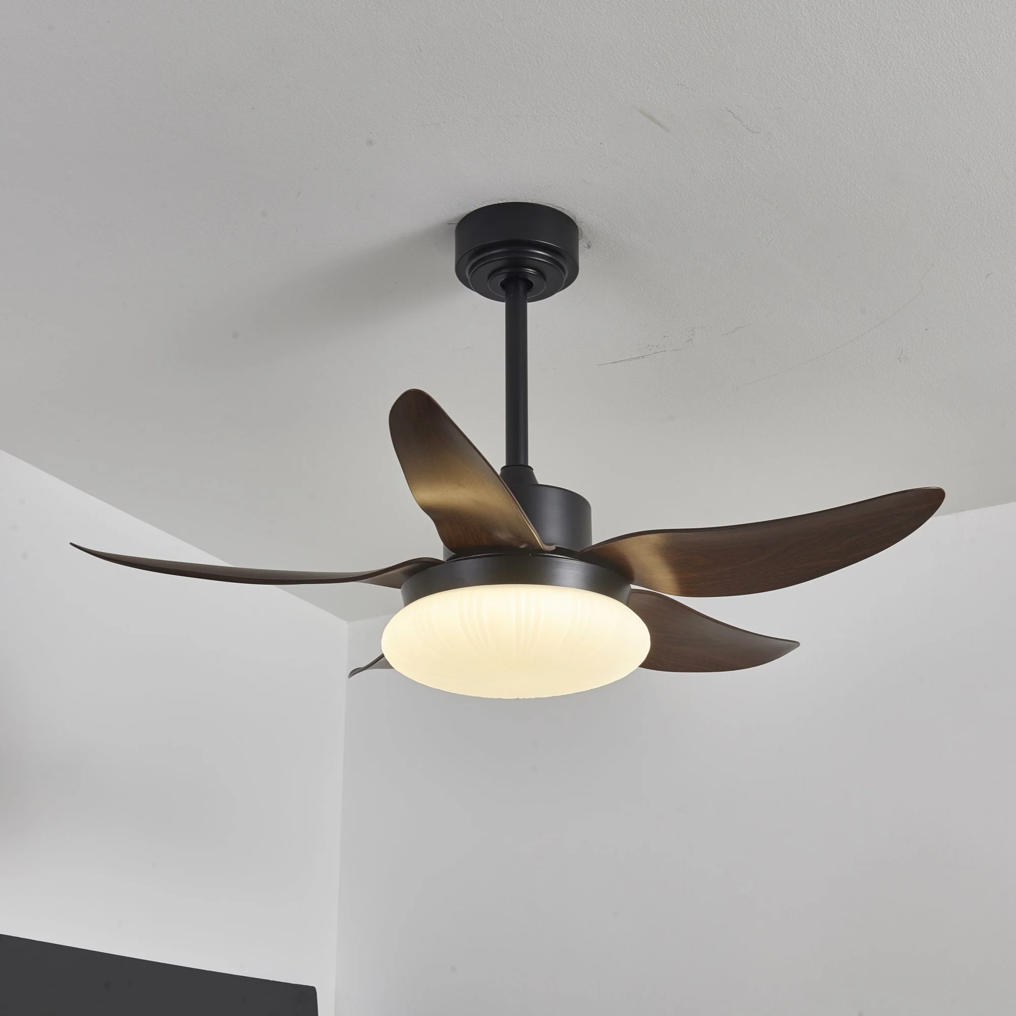 Aero Palm Ceiling Fan Light - Image 7