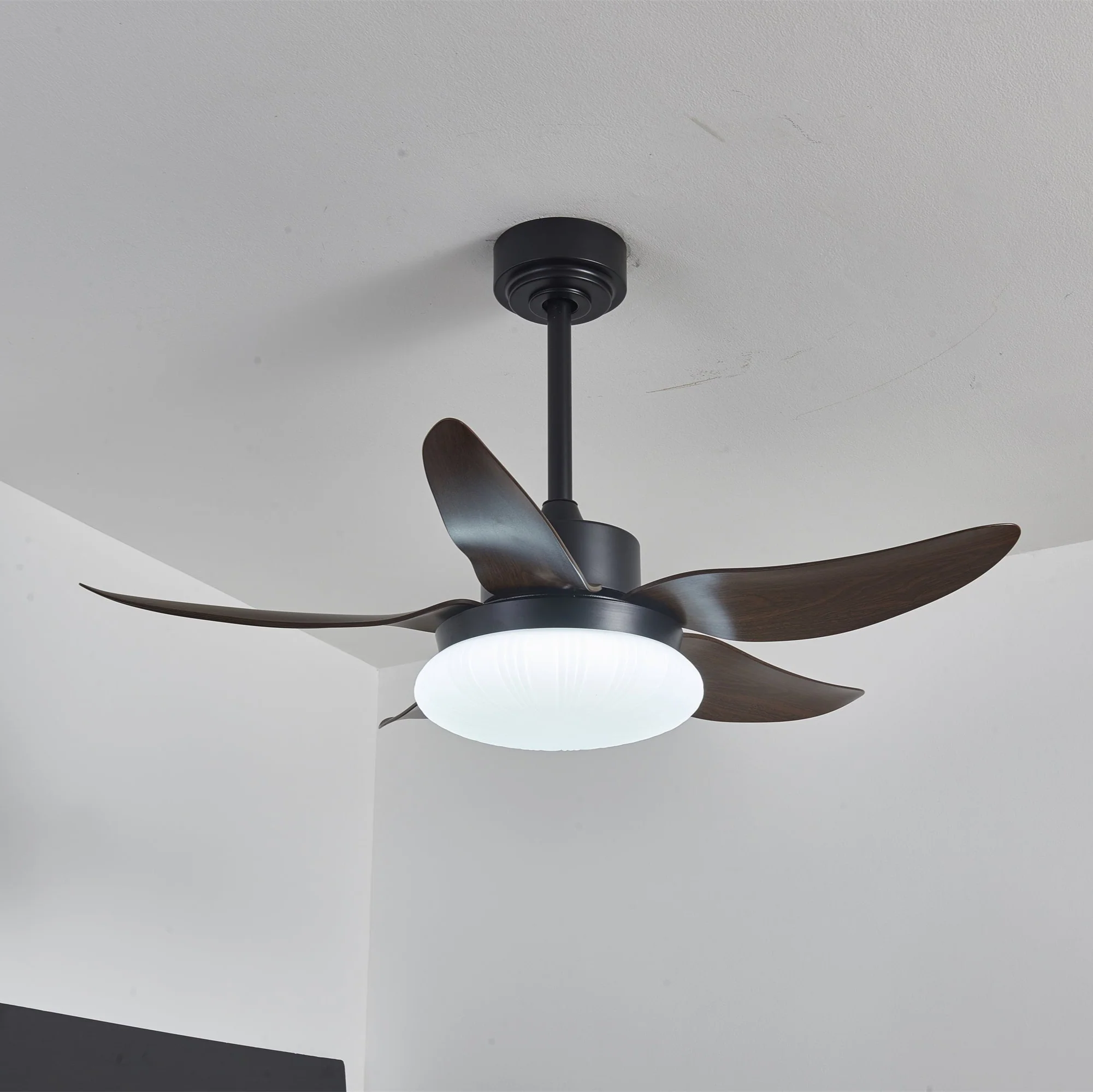 Aero Palm Ceiling Fan Light - Image 9