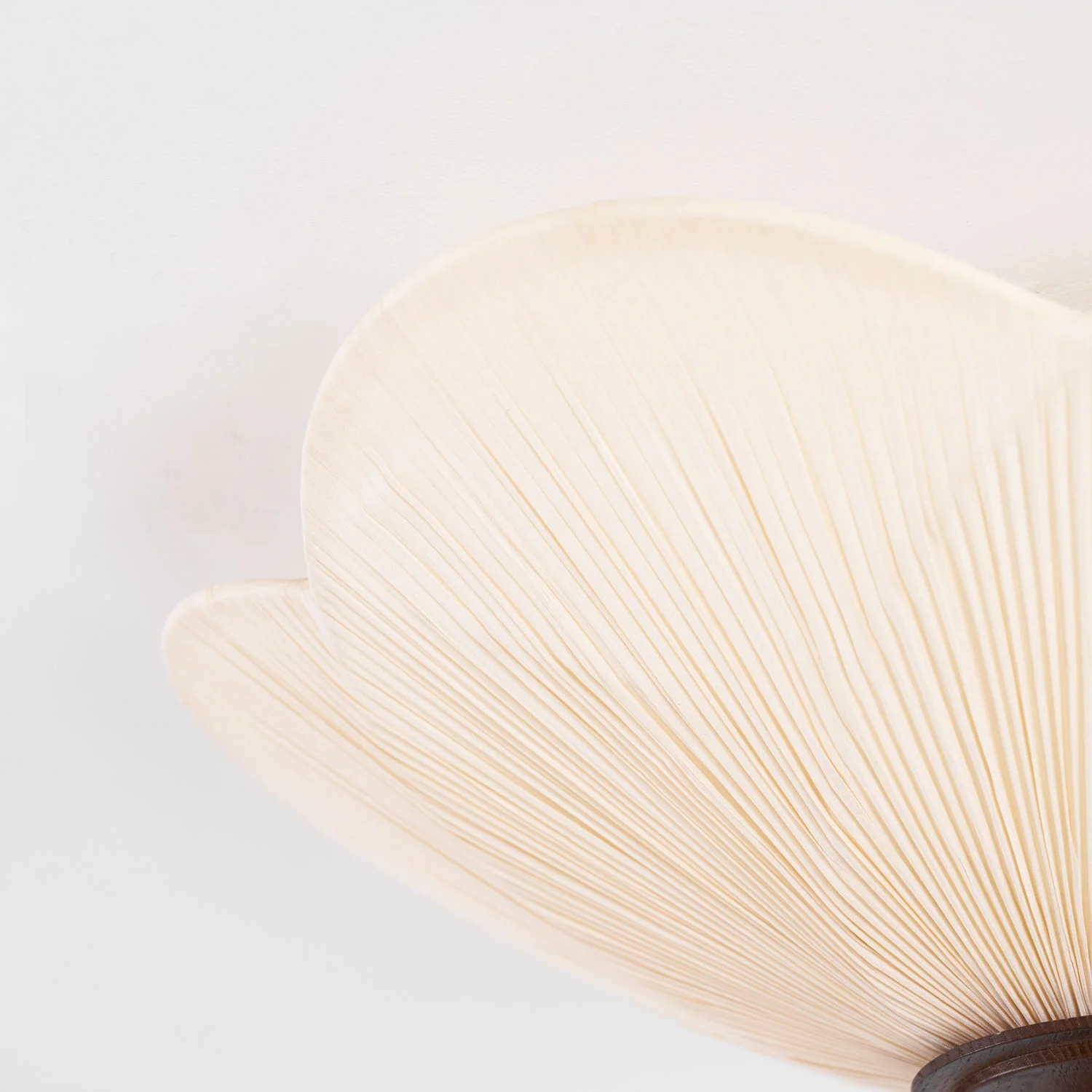 Amara Bloom Ceiling Light - Image 25