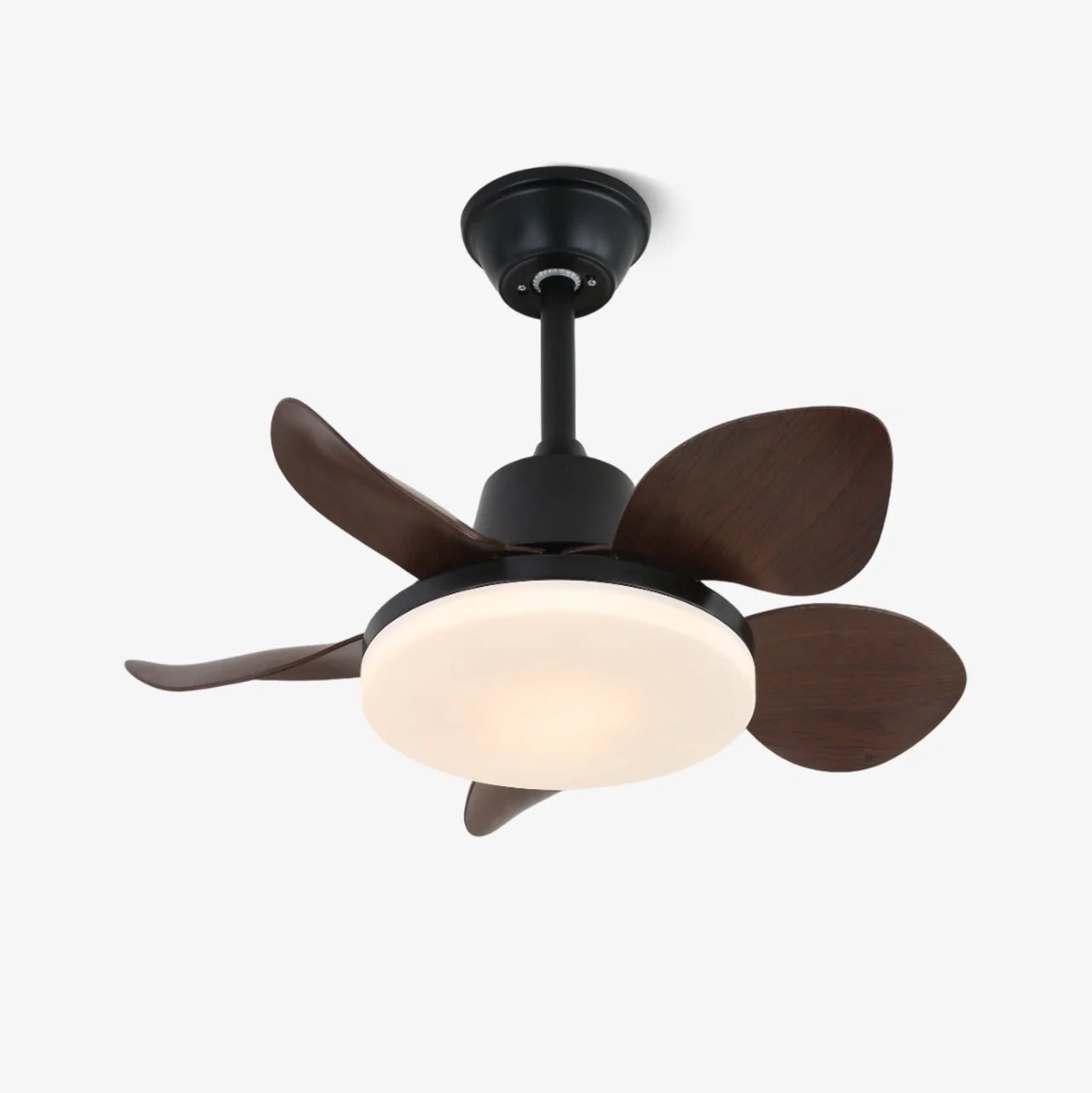 Amelia Ceiling Fan Light - Image 5
