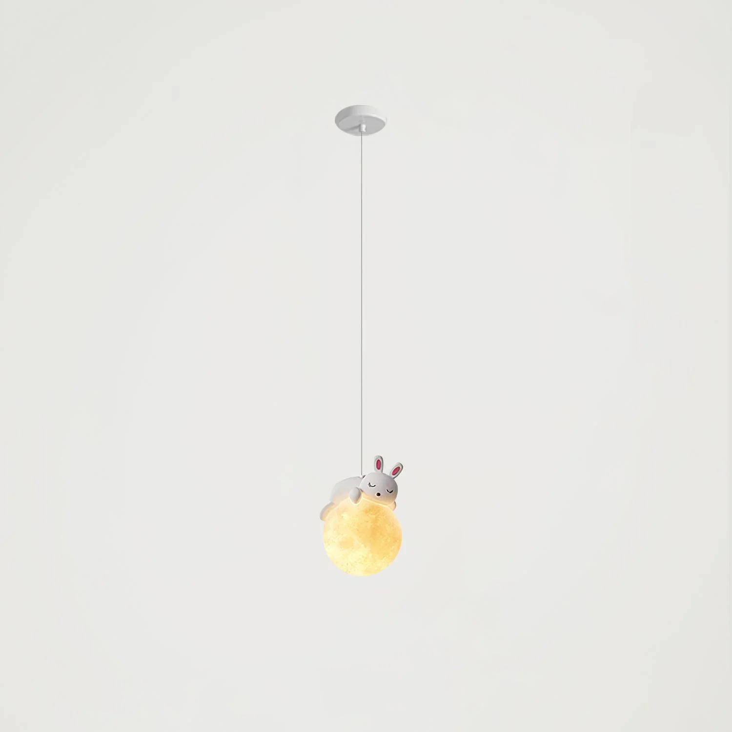 Animal Sleeping Pendant Lamp - Image 38