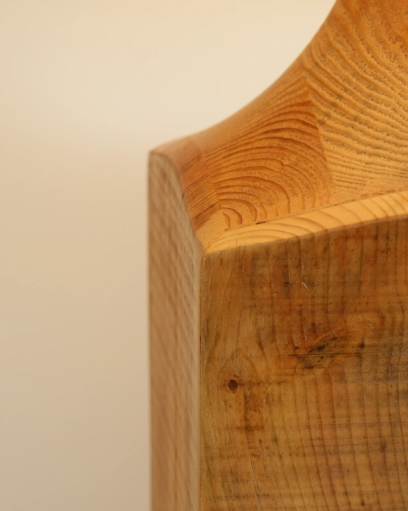 Arboreal Whisper Floor Lamp - Image 23