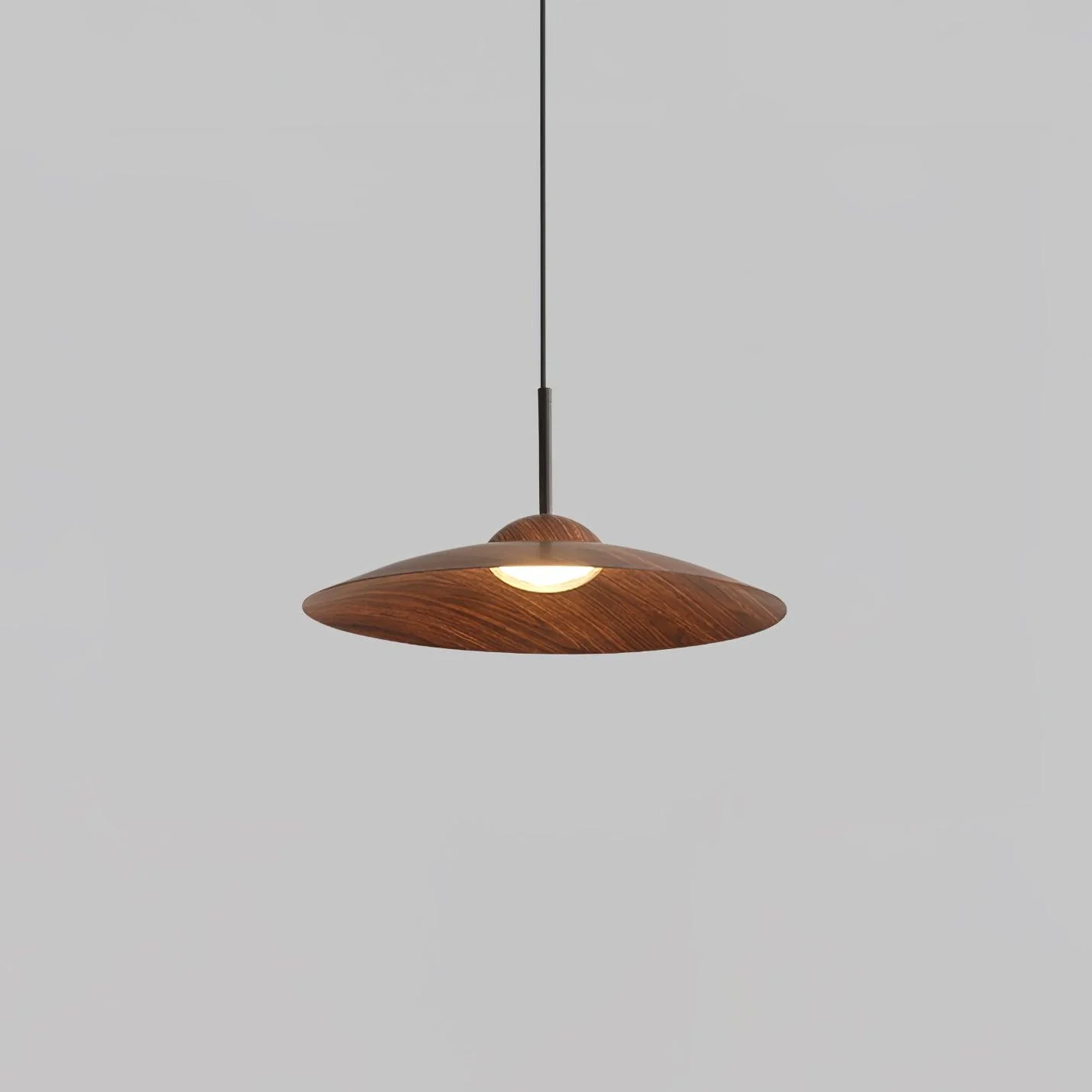 Arcadian Pendant Light - Image 14
