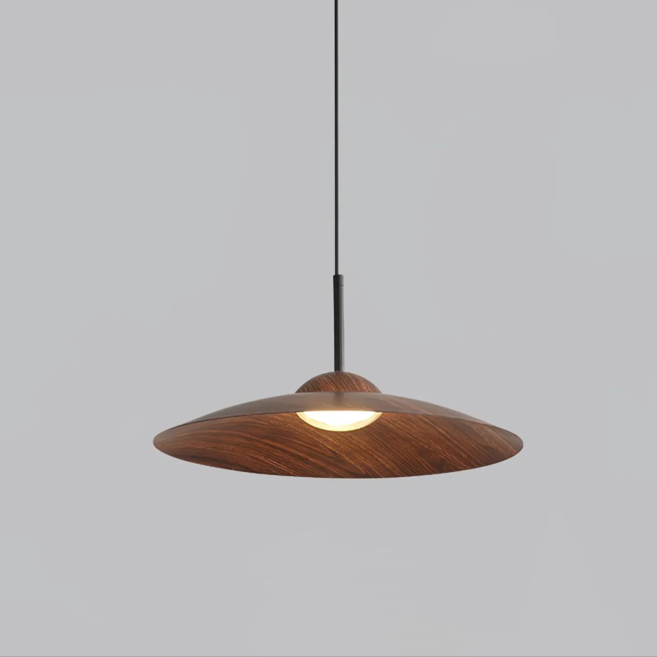 Arcadian Pendant Light - Image 19