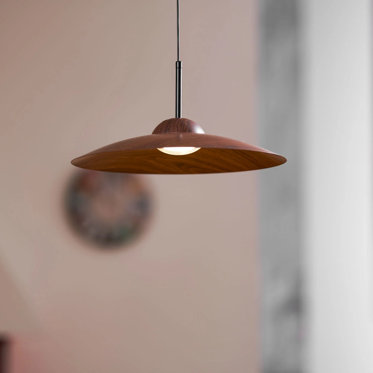 Arcadian Pendant Light - Image 28