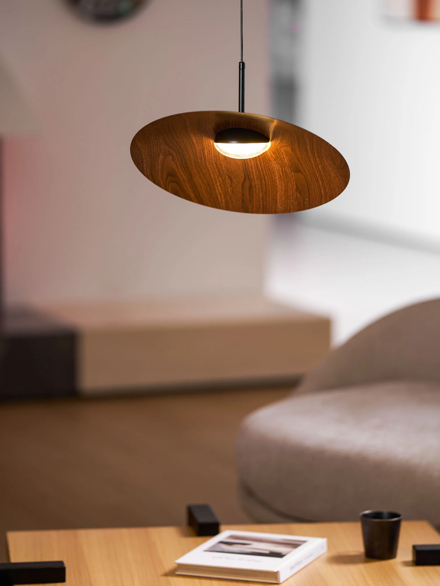 Arcadian Pendant Light - Image 29