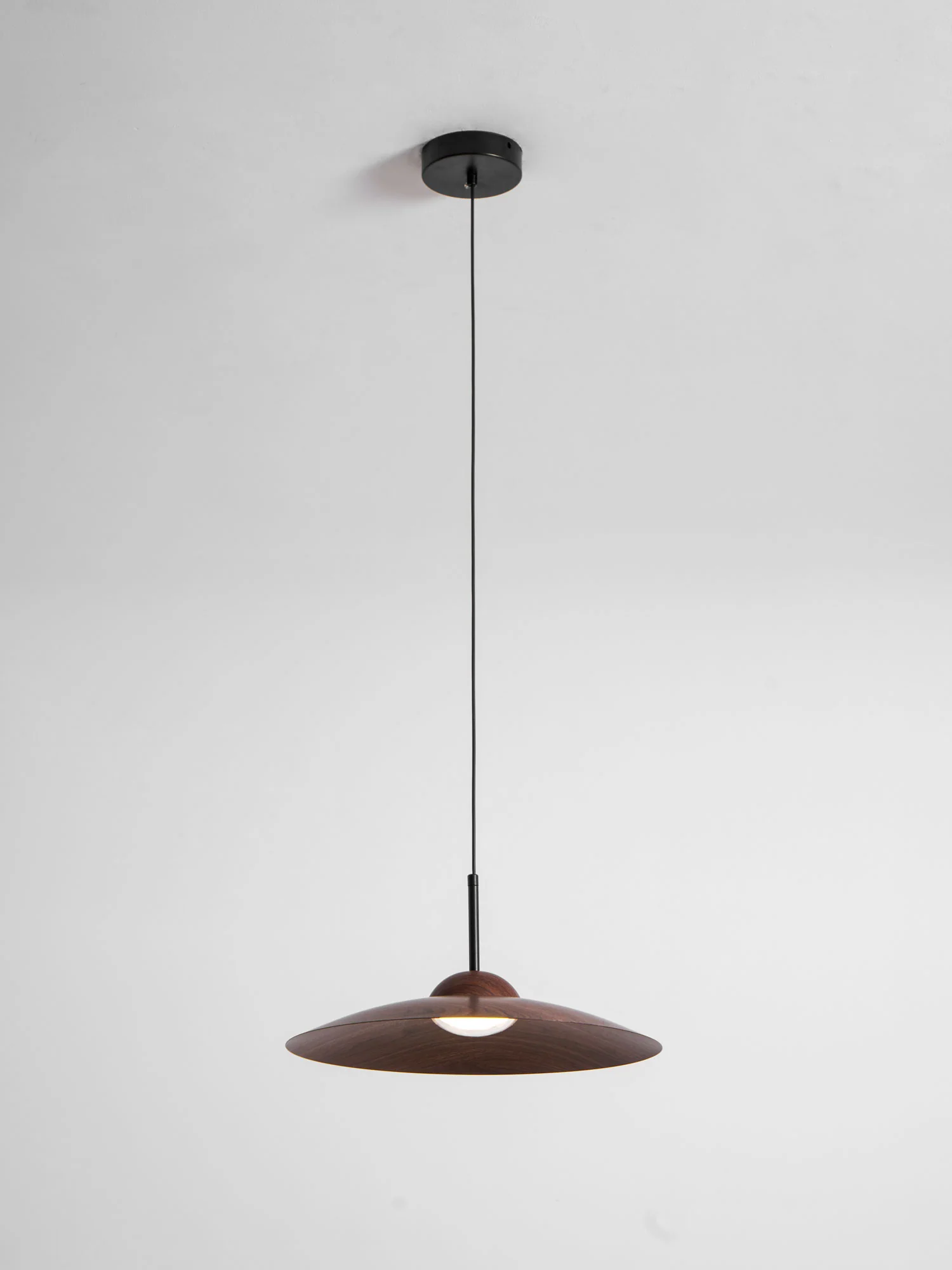 Arcadian Pendant Light - Image 42