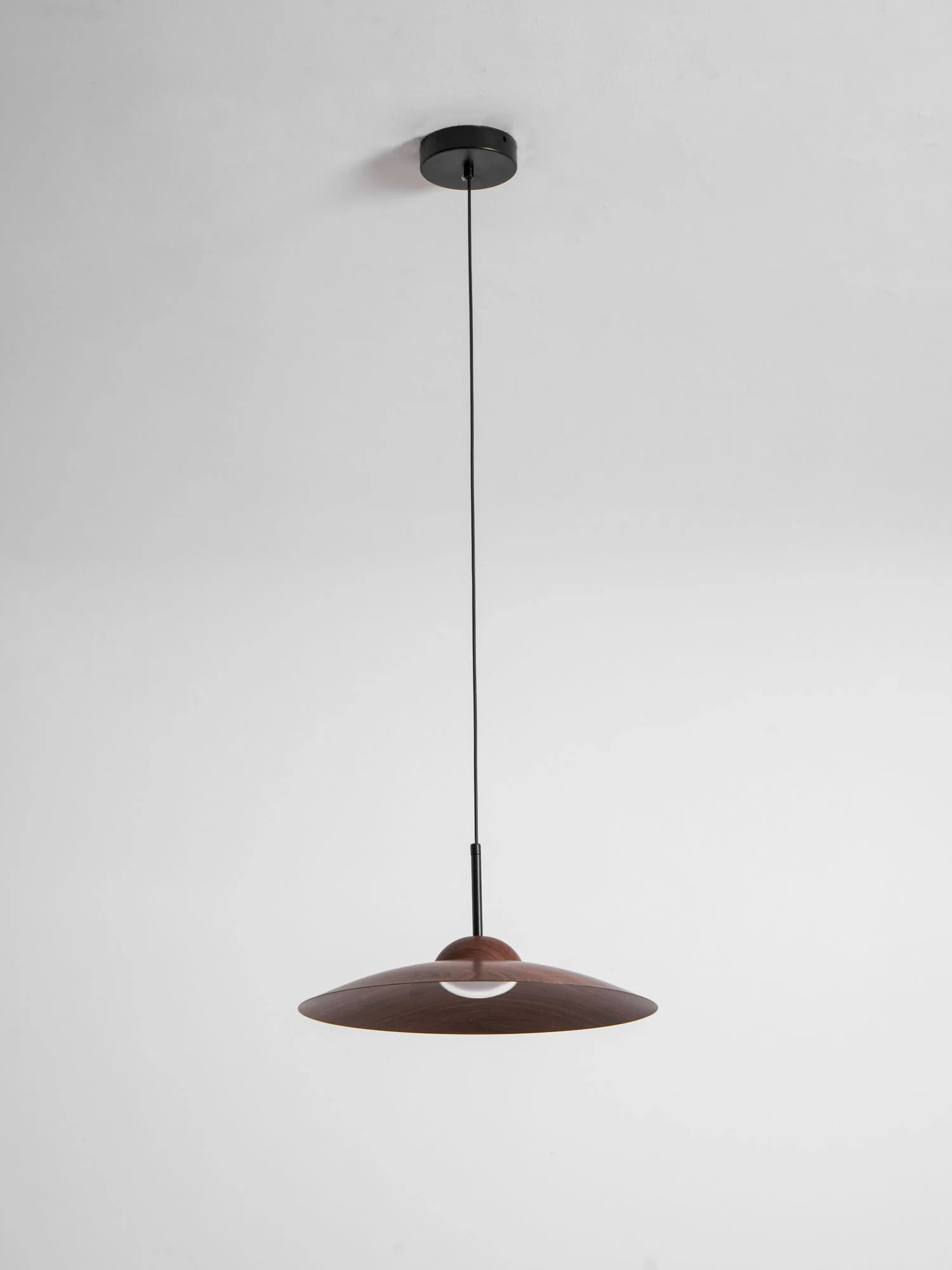 Arcadian Pendant Light - Image 43