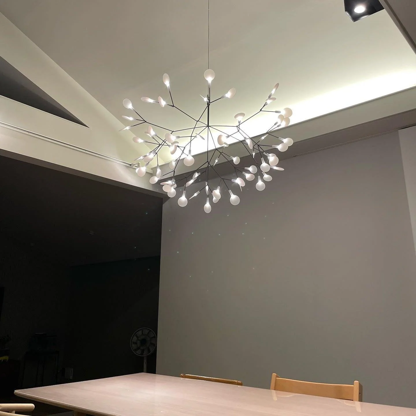 Black Firefly LED Chandelier - Image 36