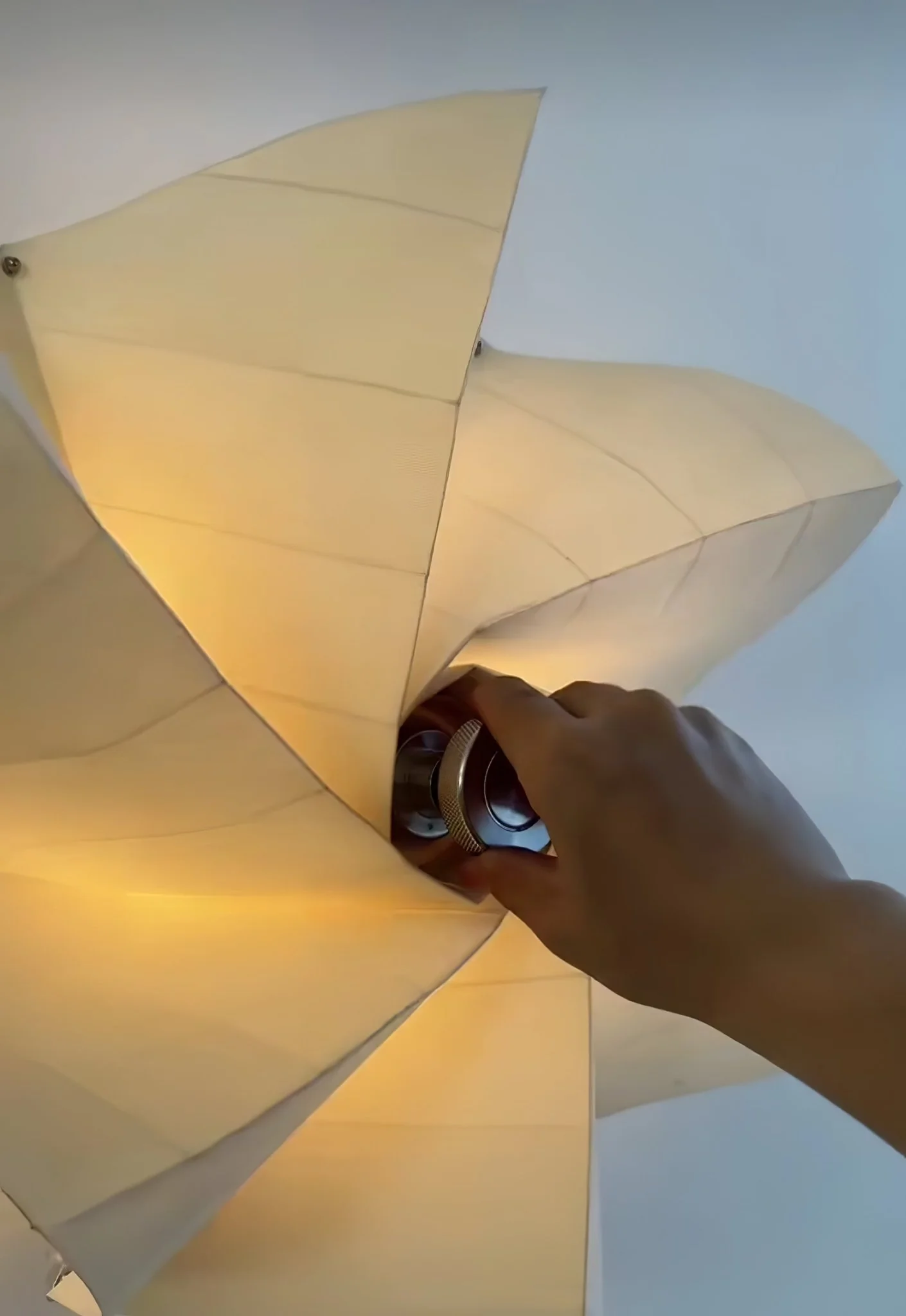 Bloom Petals Wall Lamp - Image 13