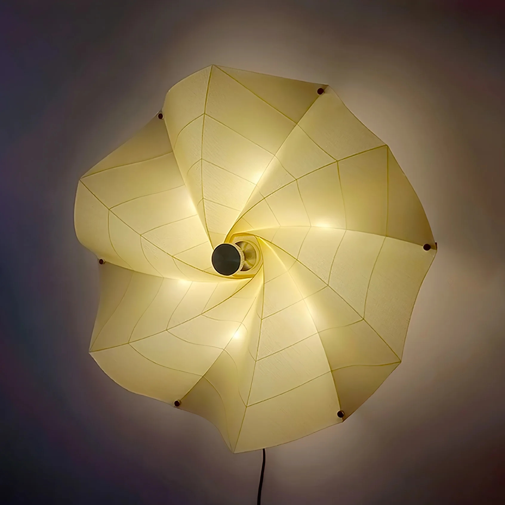 Bloom Petals Wall Lamp - Image 4