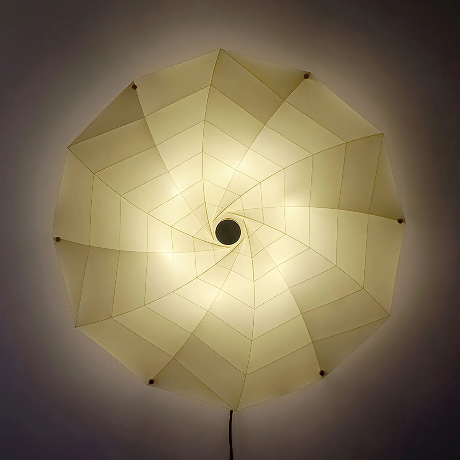 Bloom Petals Wall Lamp - Image 9