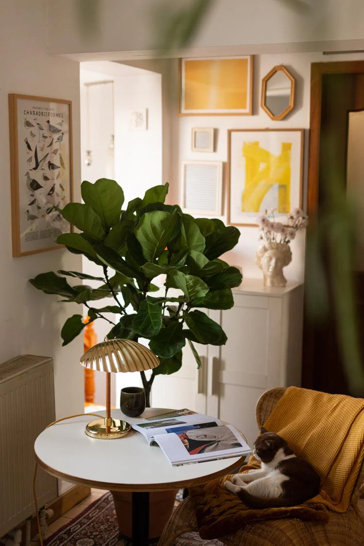 Brass Shell Table Lamp - Image 66