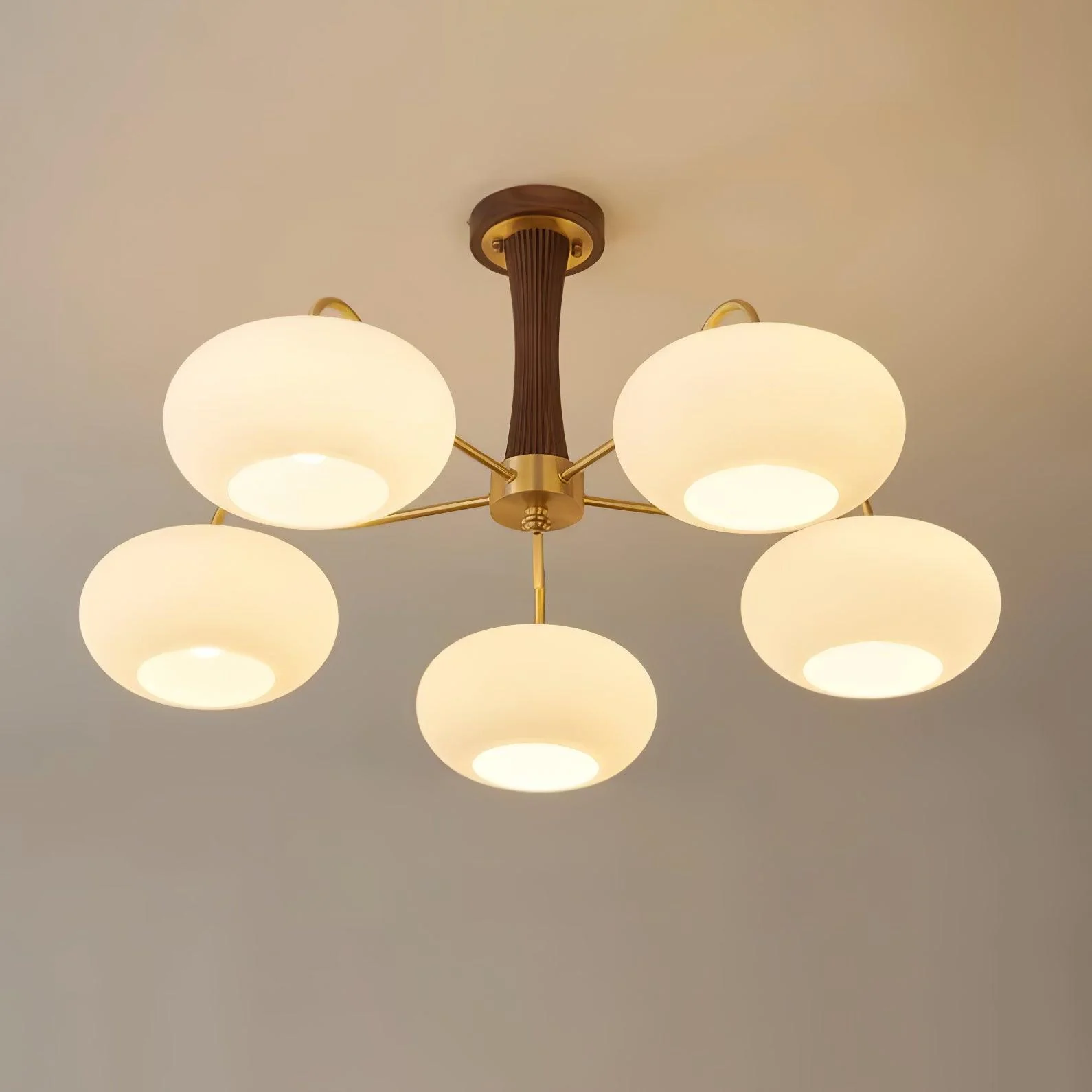 Brass Wooden Persimmon Chandelier - Image 32