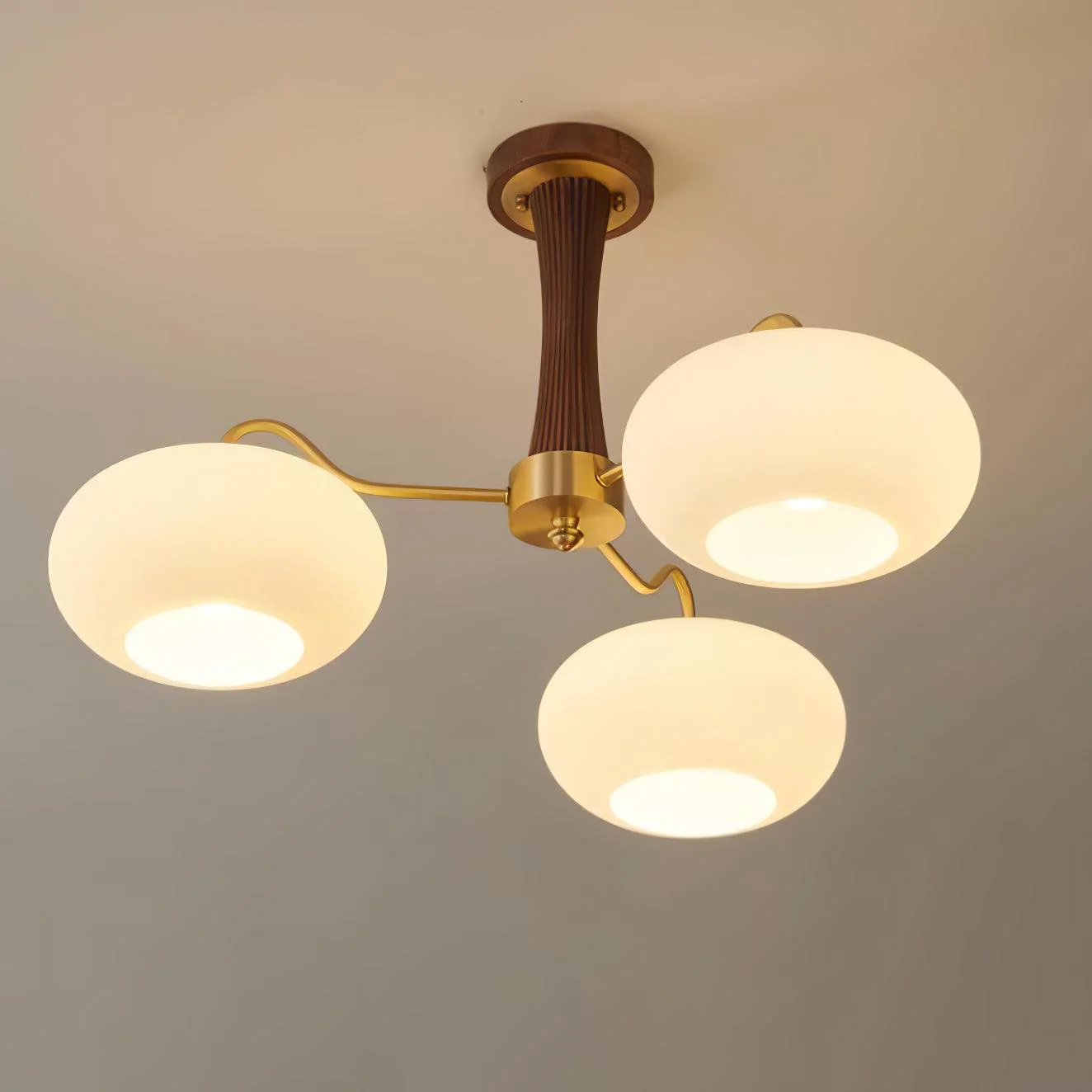 Brass Wooden Persimmon Chandelier - Image 33