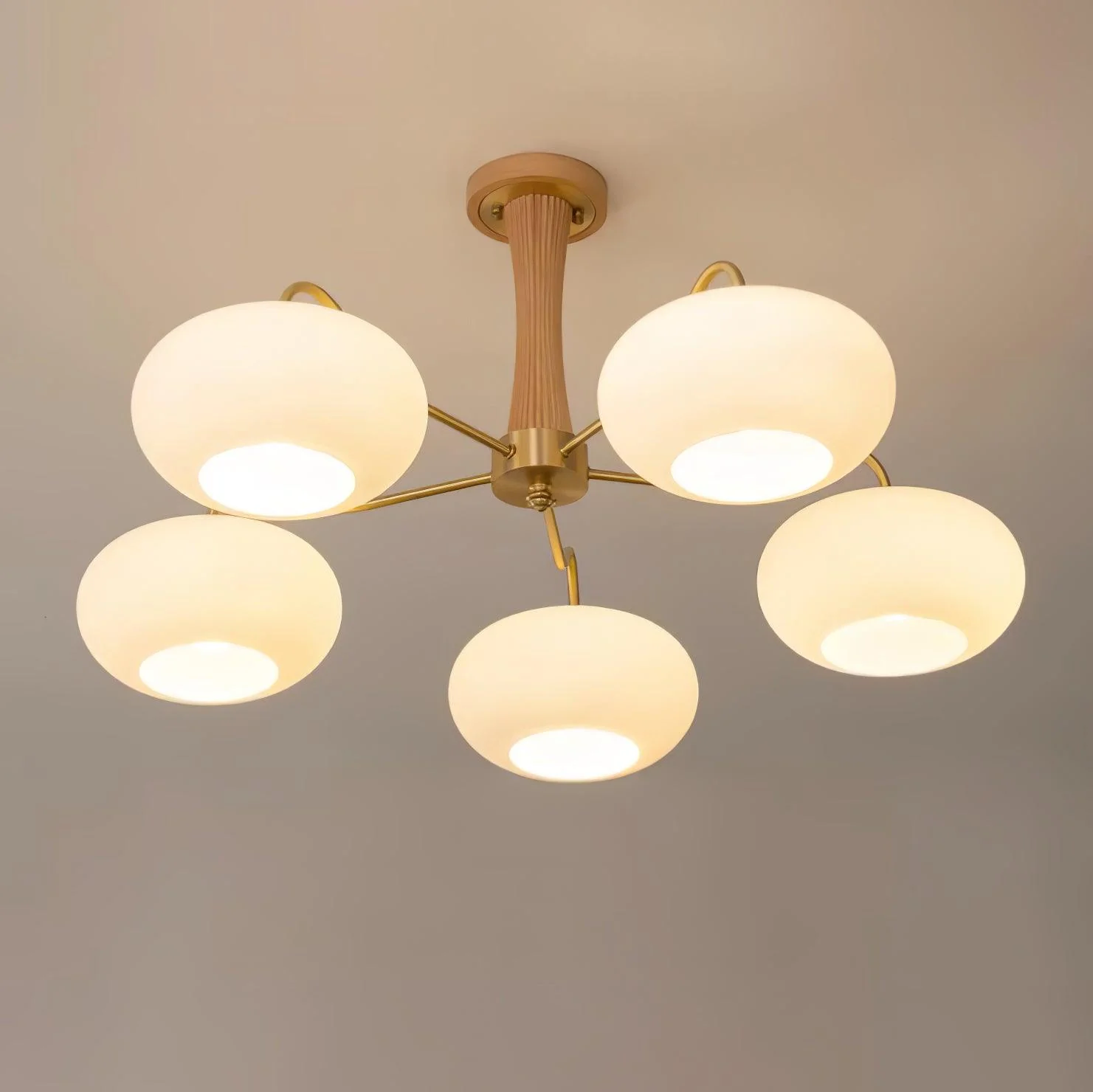 Brass Wooden Persimmon Chandelier - Image 36