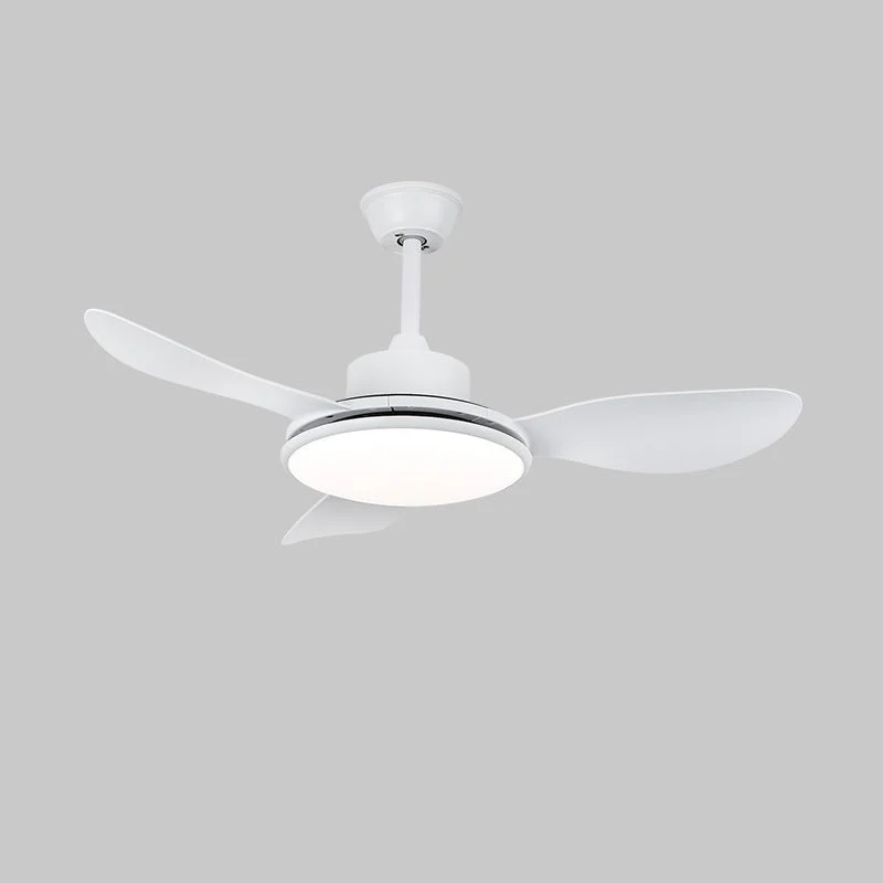 Brinley 42"/52" Ceiling Fan Light - Image 17
