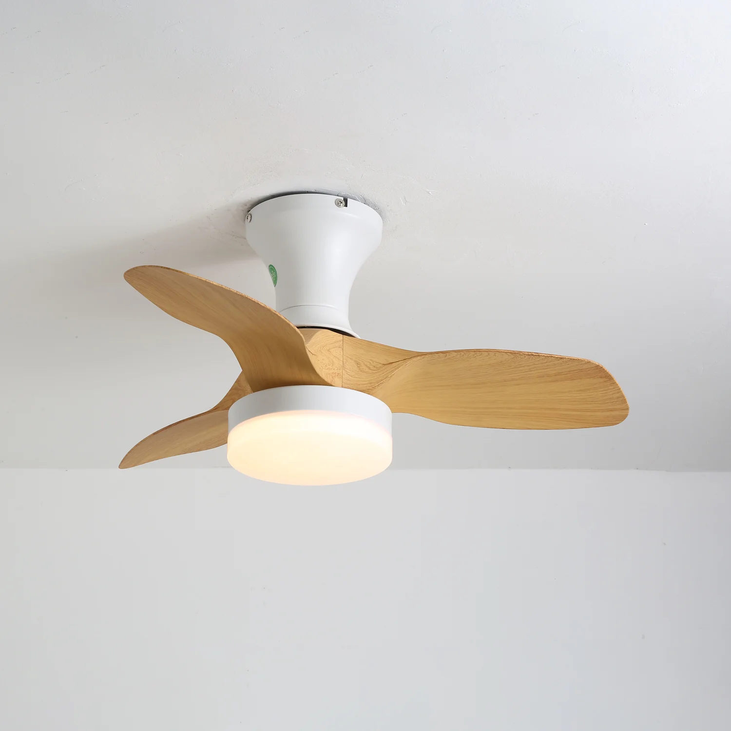 Brisa Ceiling Fan Light - Image 3