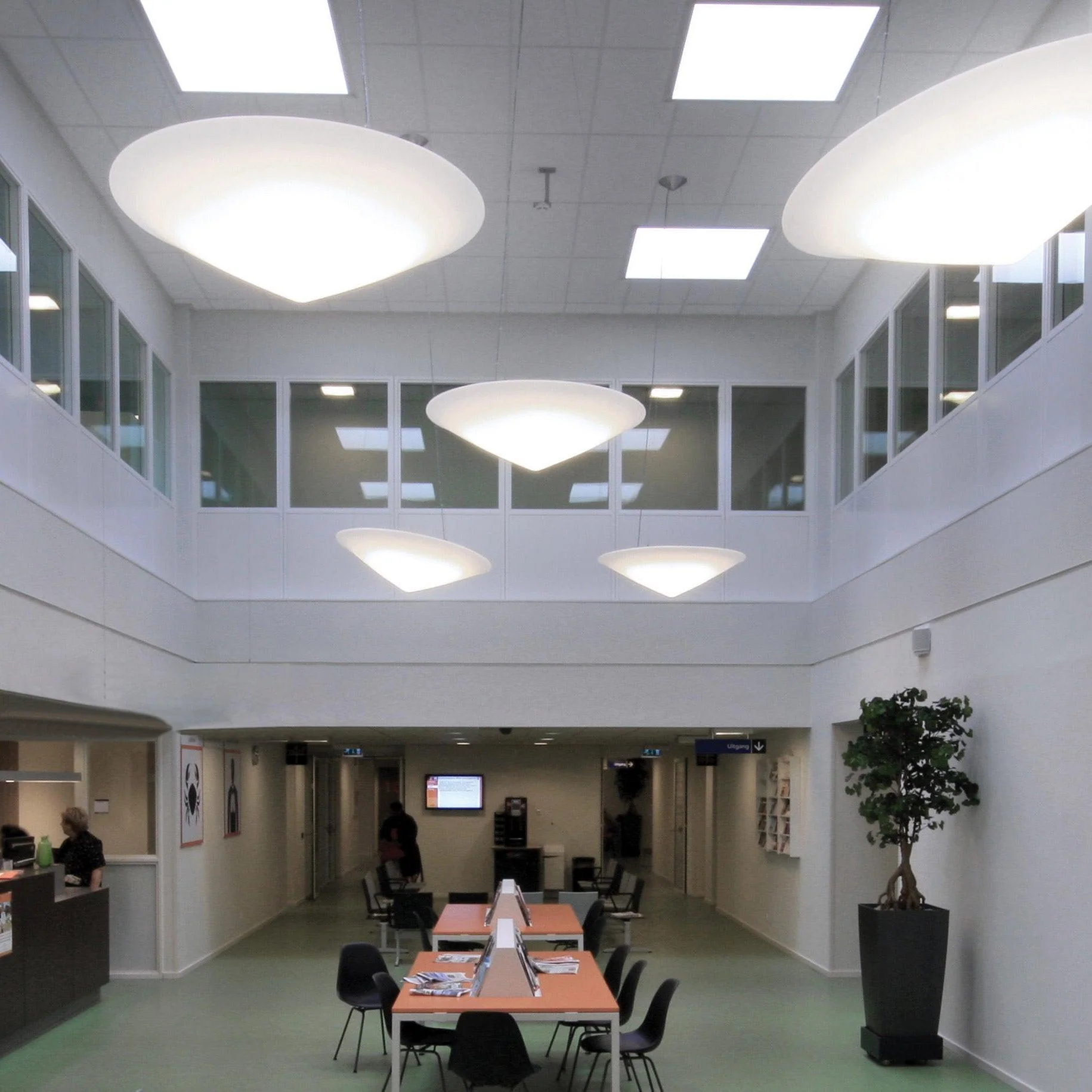 Cao Mao Pendant Light - Image 9