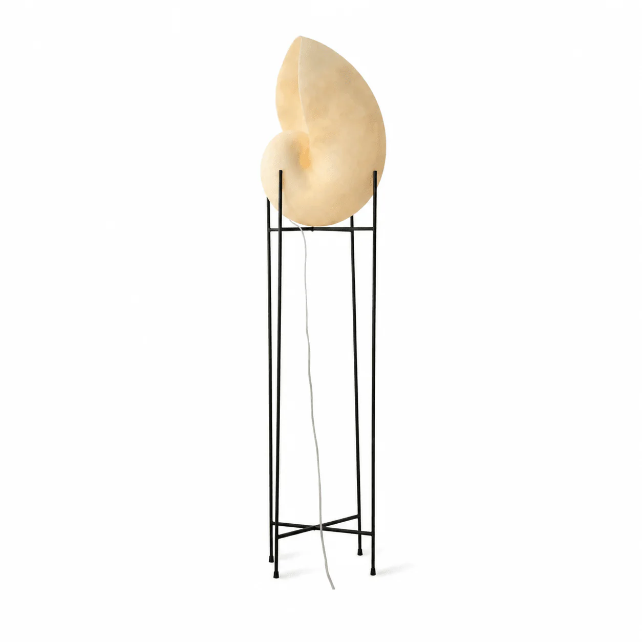 Conch Bloom Lamp - Image 38