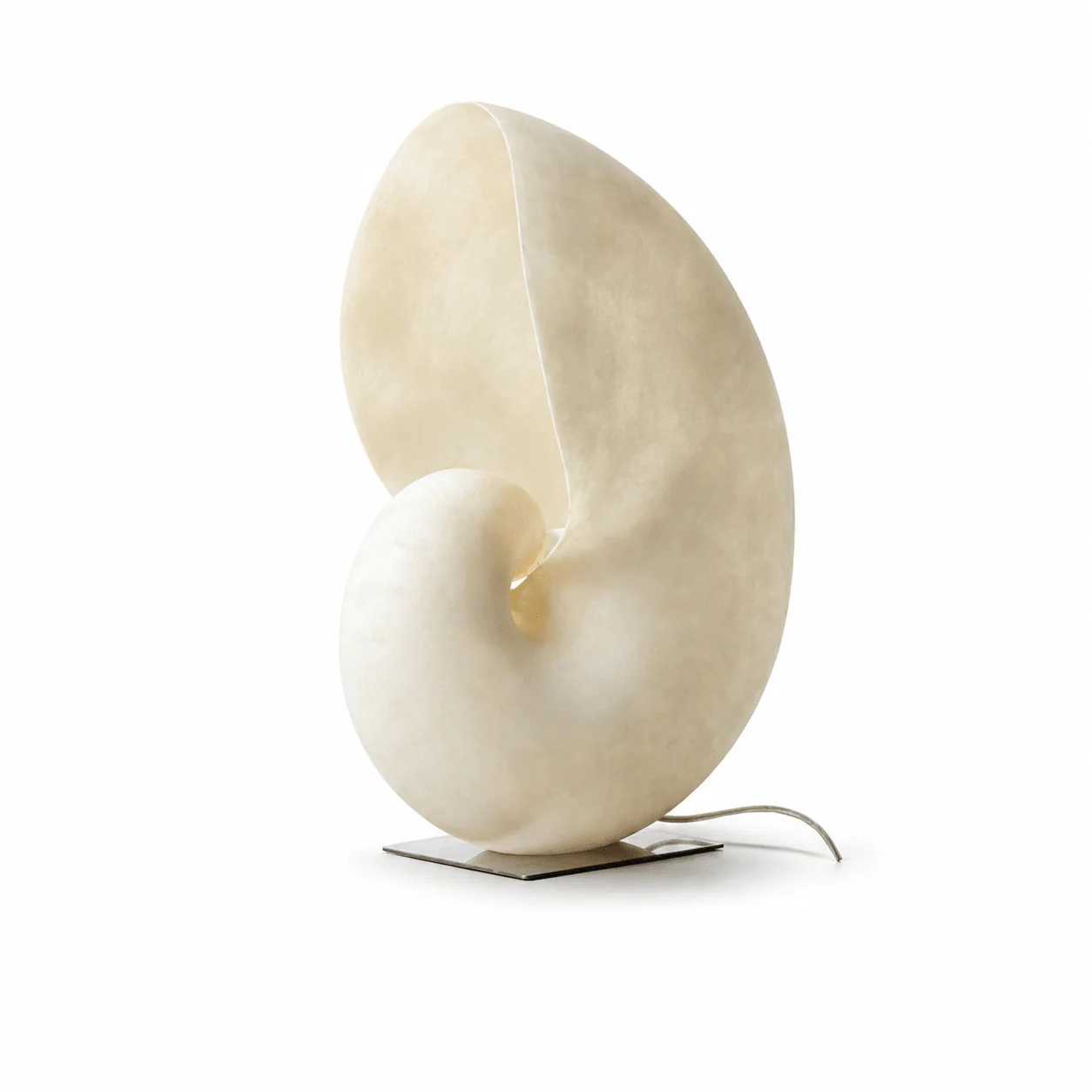Conch Bloom Lamp - Image 39