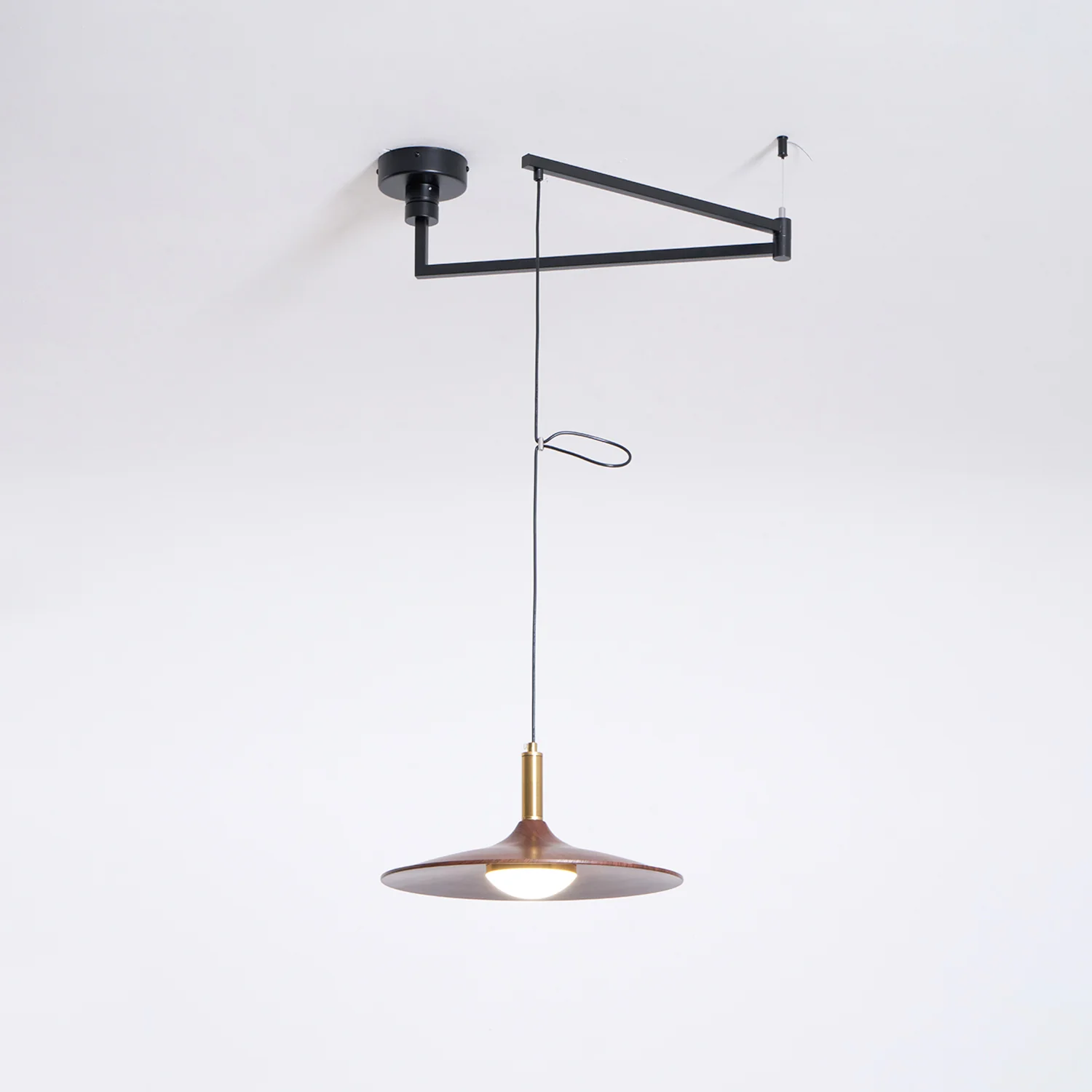 Crane Swing Arm Pendant Lamp - Image 12