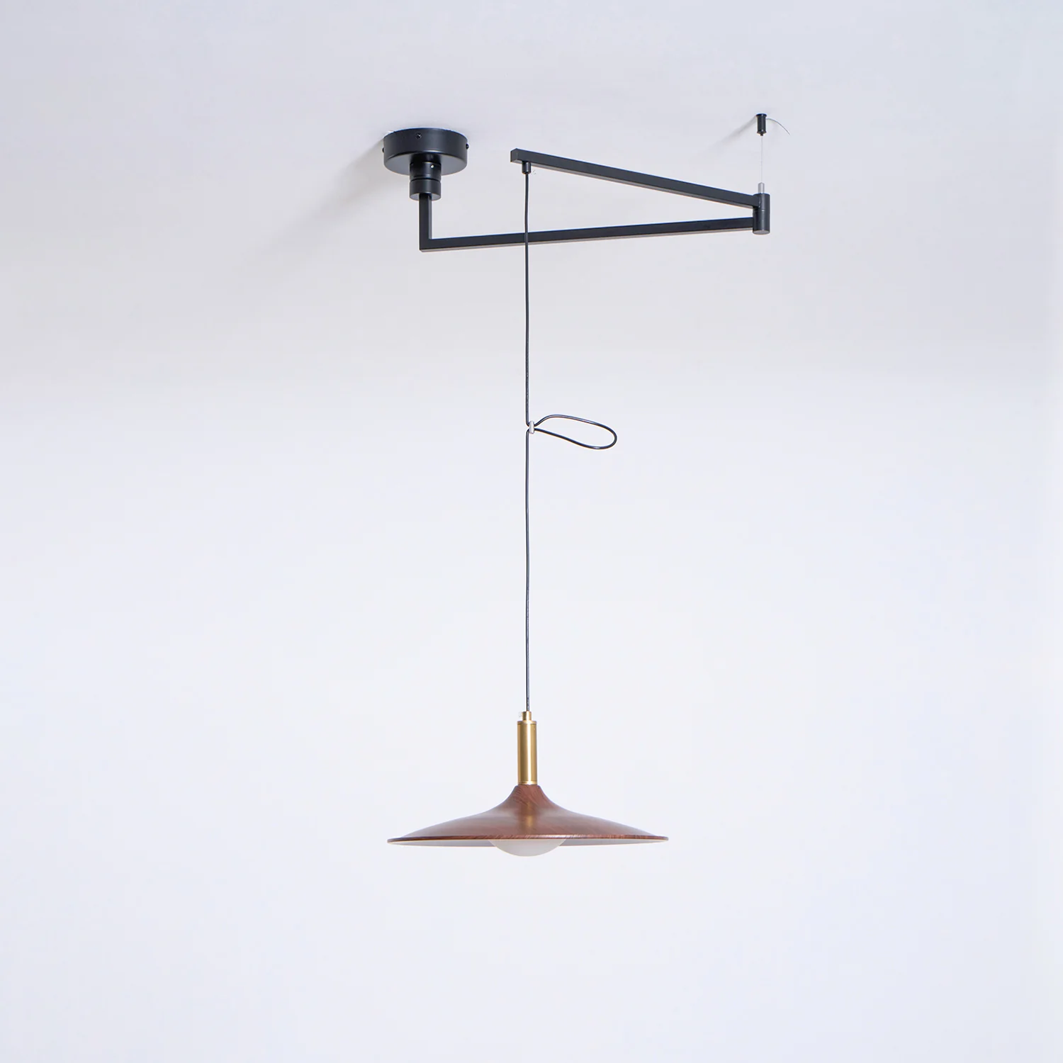Crane Swing Arm Pendant Lamp - Image 13
