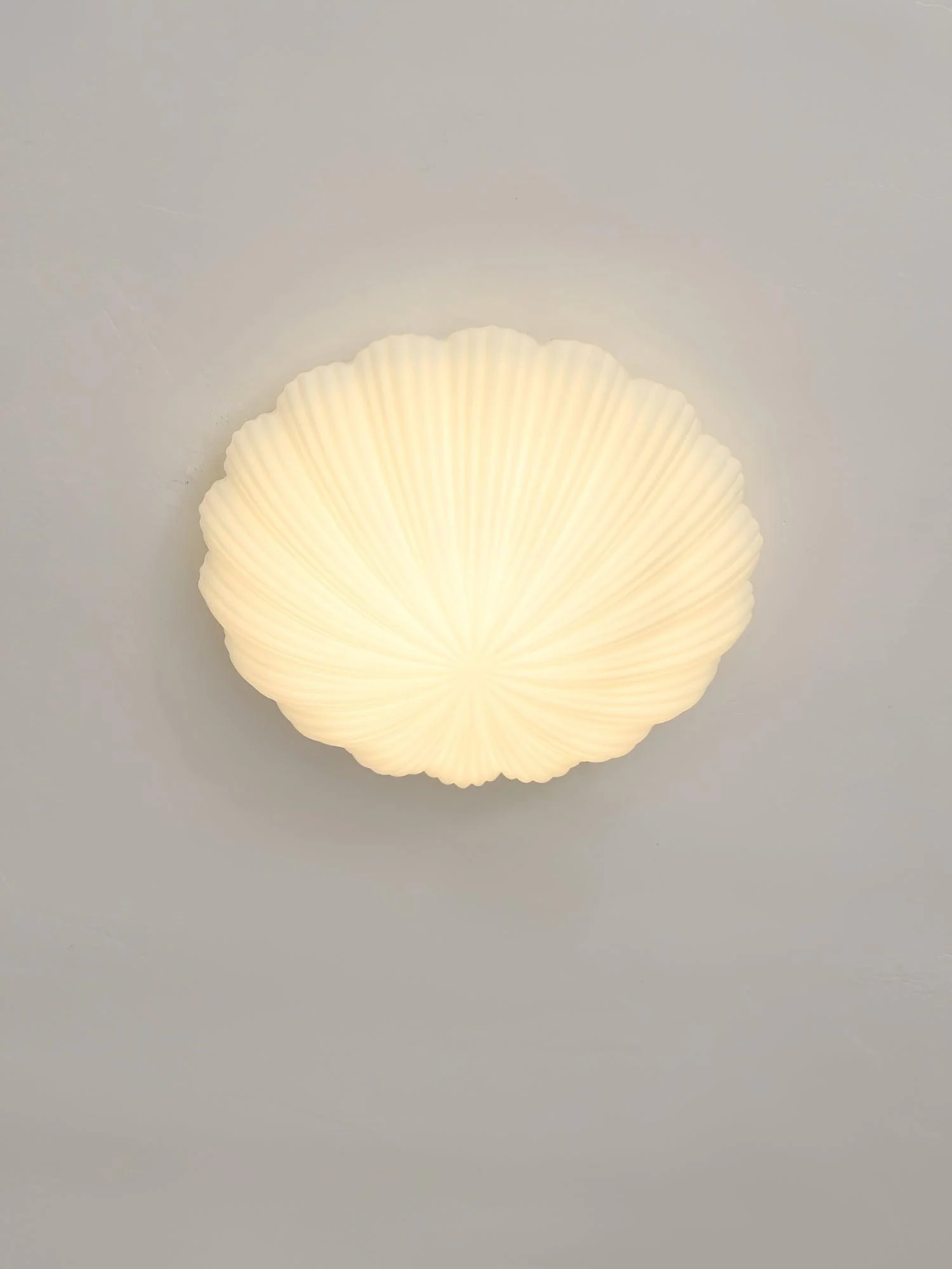 Devan Seashell Ceiling Lamp - Image 17