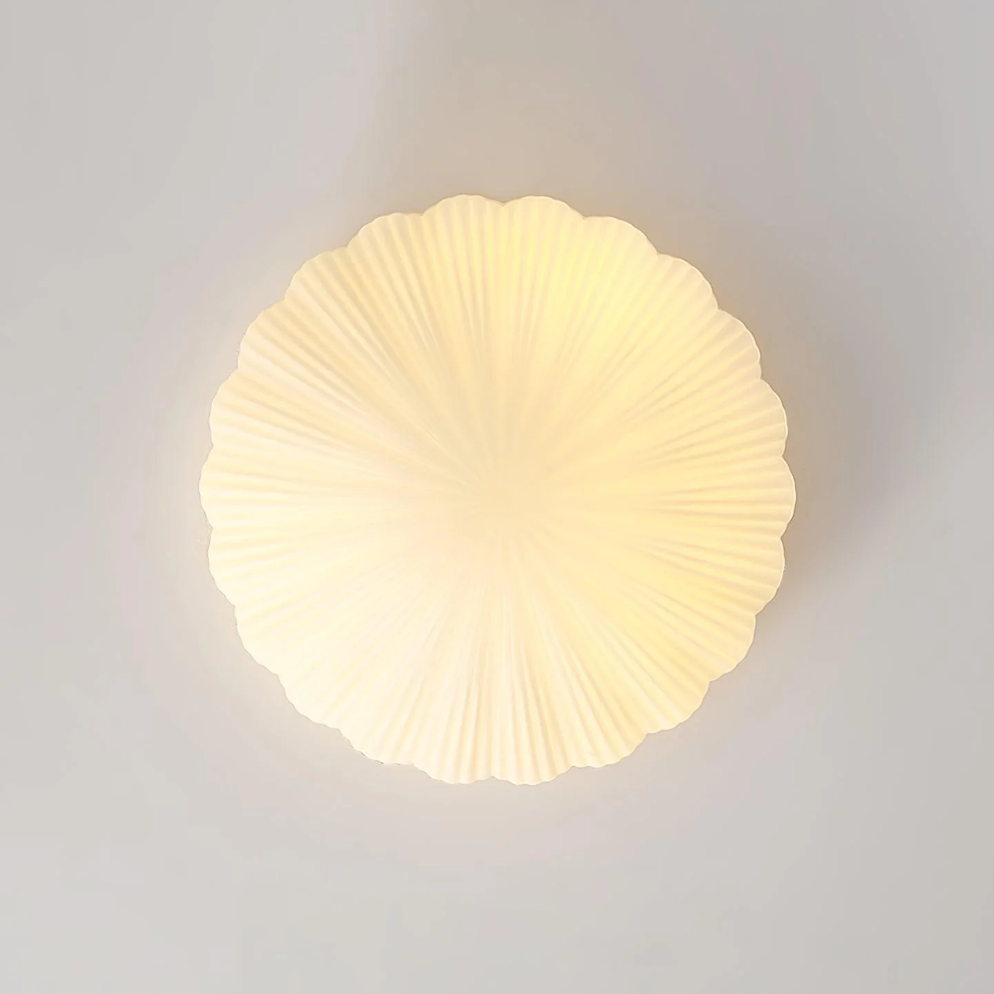 Devan Seashell Ceiling Lamp - Image 20