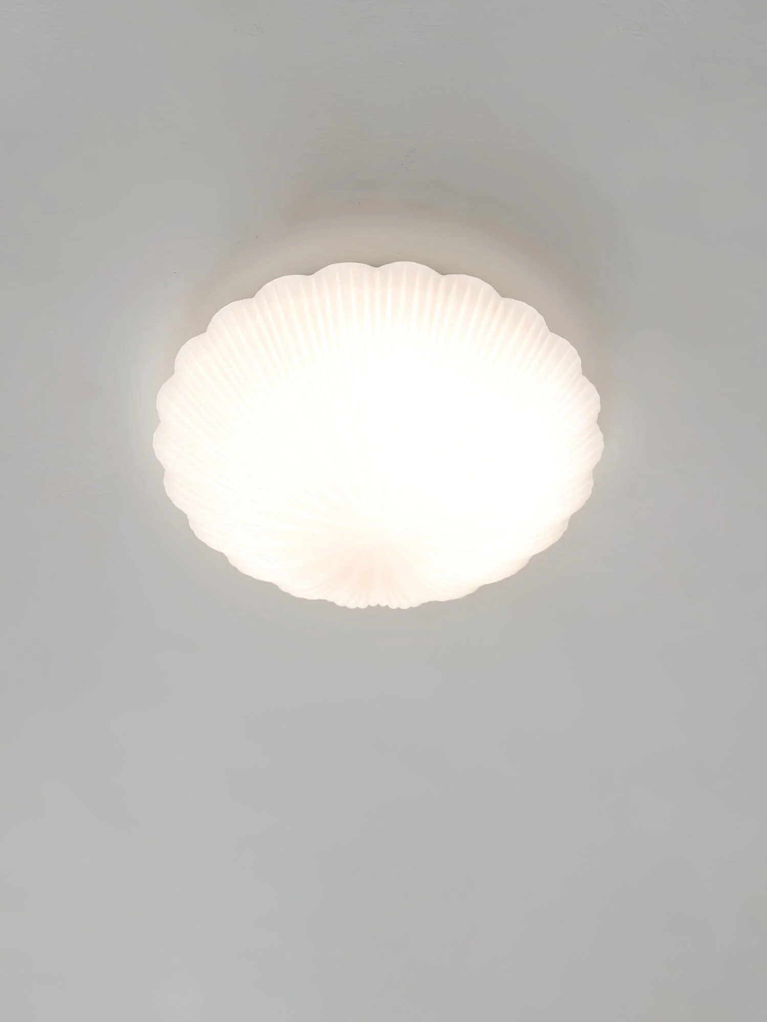 Devan Seashell Ceiling Lamp - Image 22