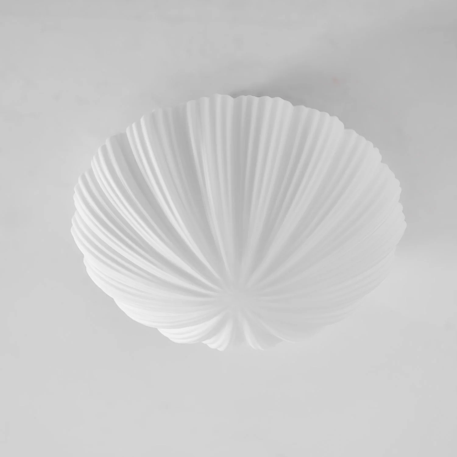 Devan Seashell Ceiling Lamp - Image 35