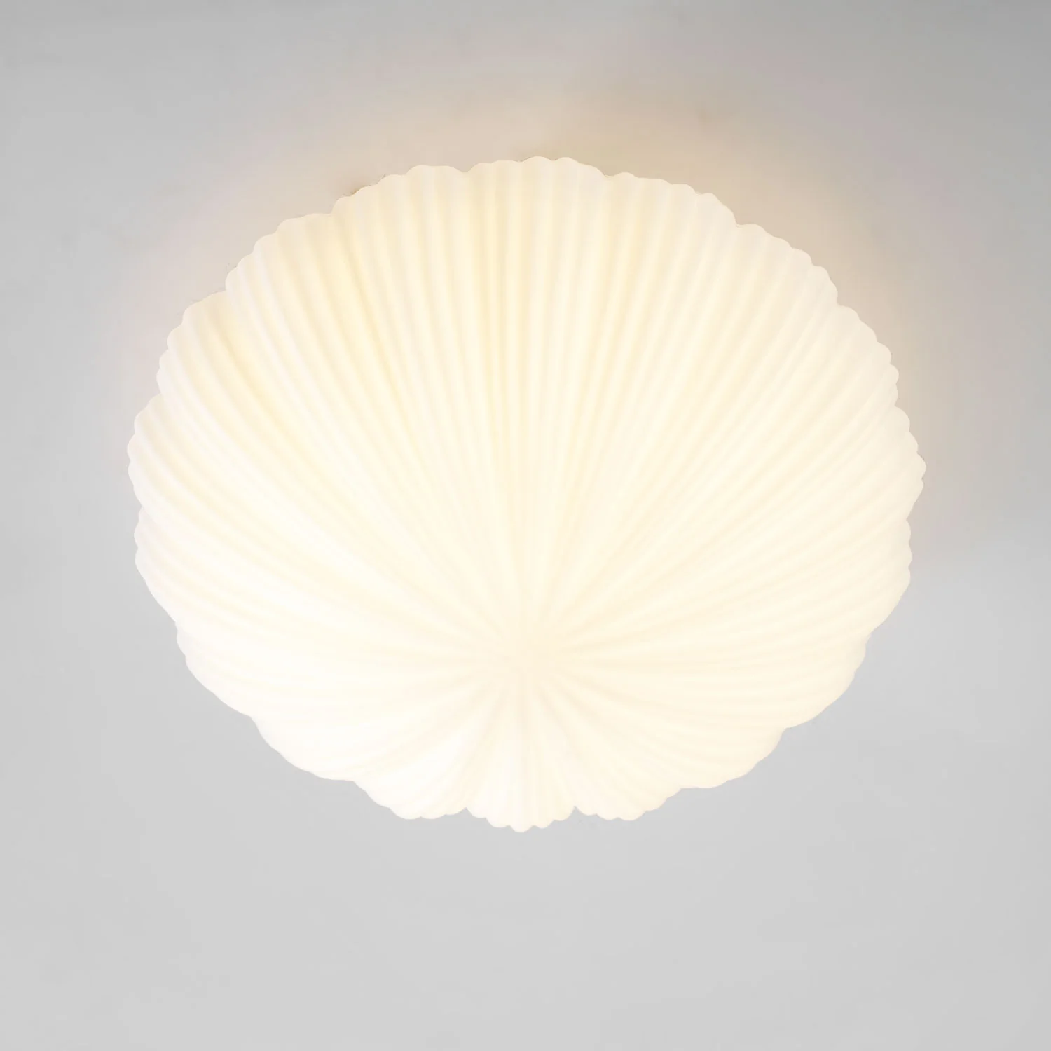 Devan Seashell Ceiling Lamp - Image 36