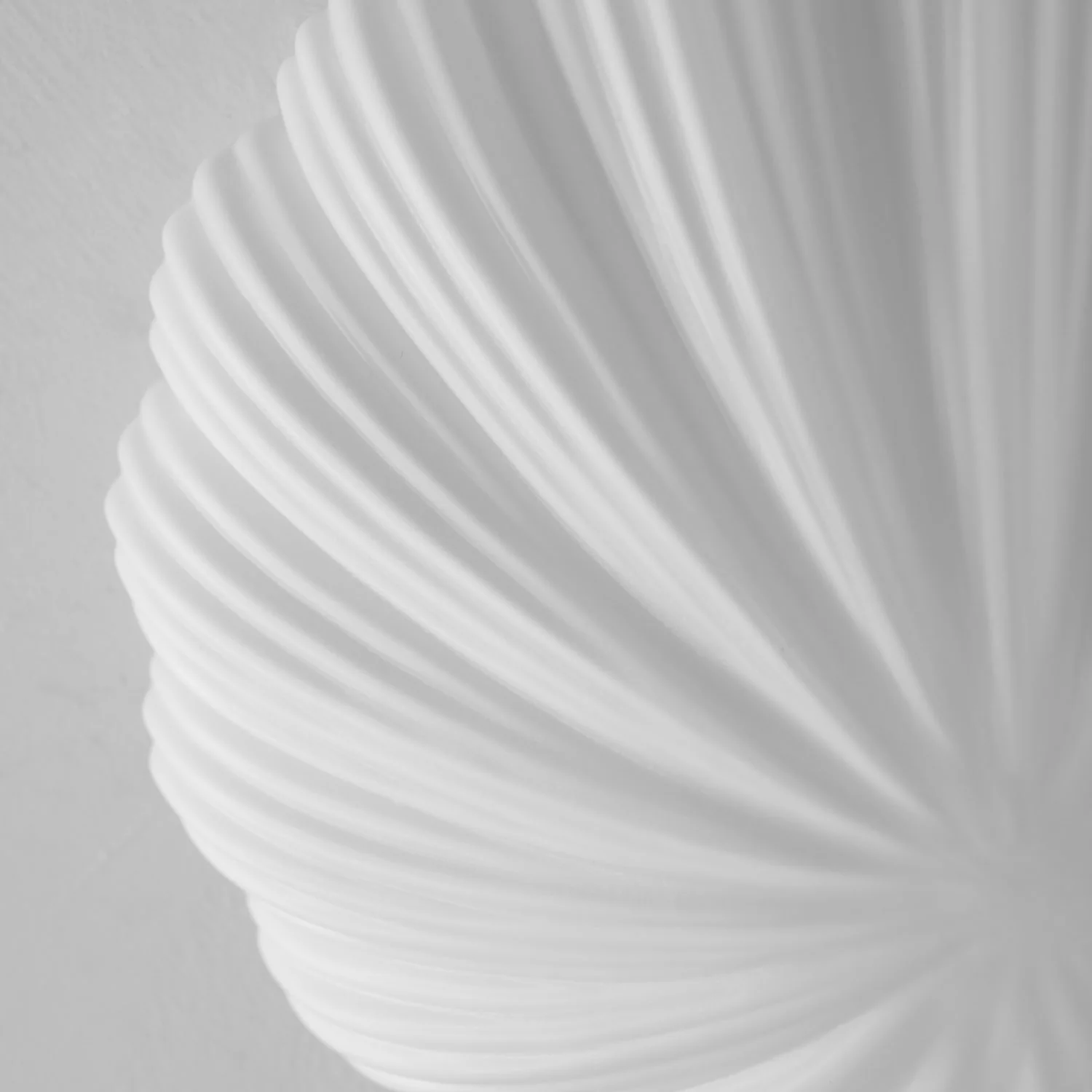 Devan Seashell Ceiling Lamp - Image 37
