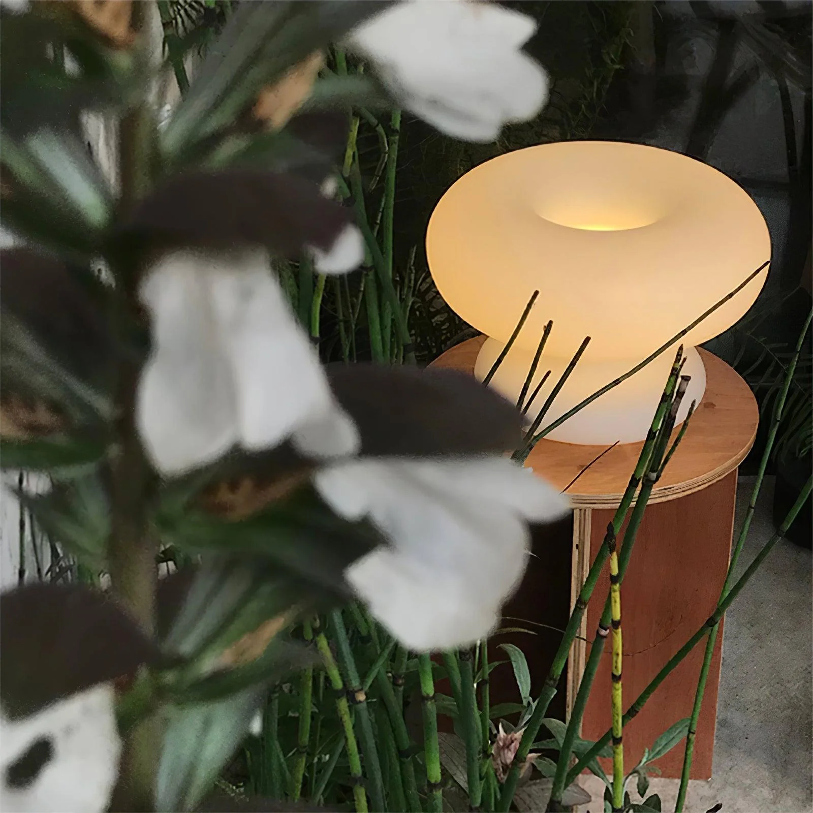 Donut Table Lamp - Image 32