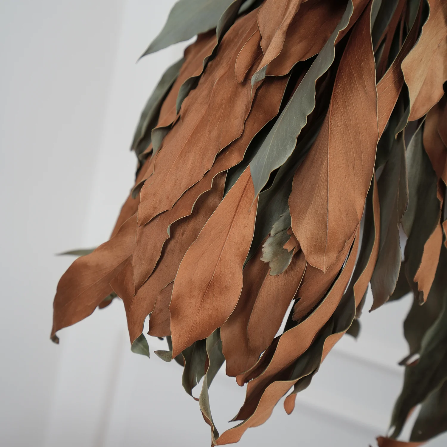 Dried Branch Leaf Pendant Lamp - Image 17