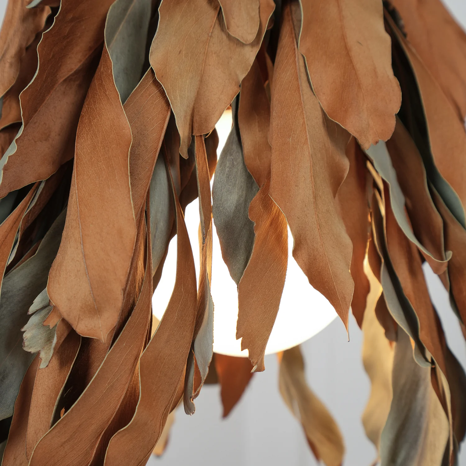 Dried Branch Leaf Pendant Lamp - Image 26