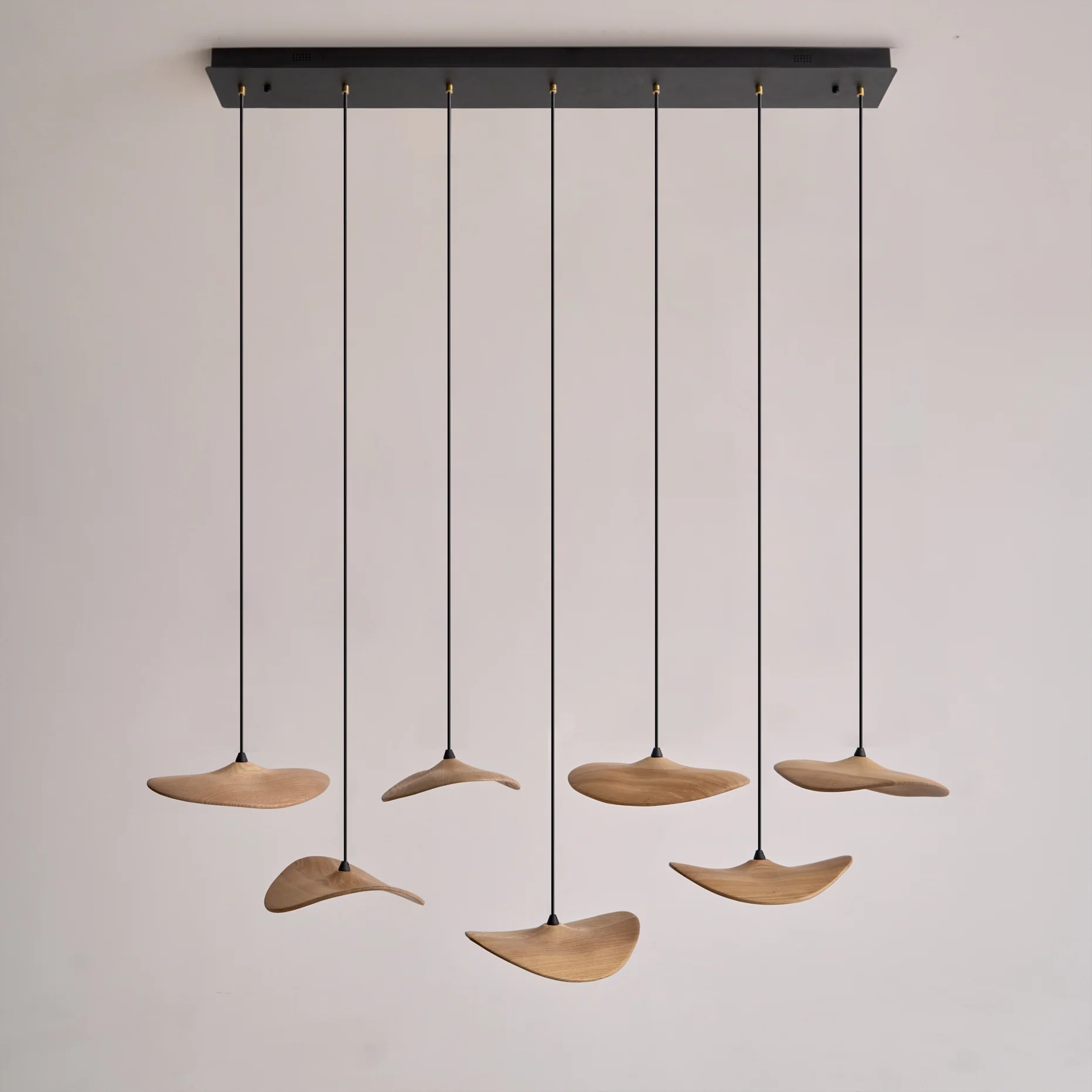 Empty Leaf Chandelier - Image 12