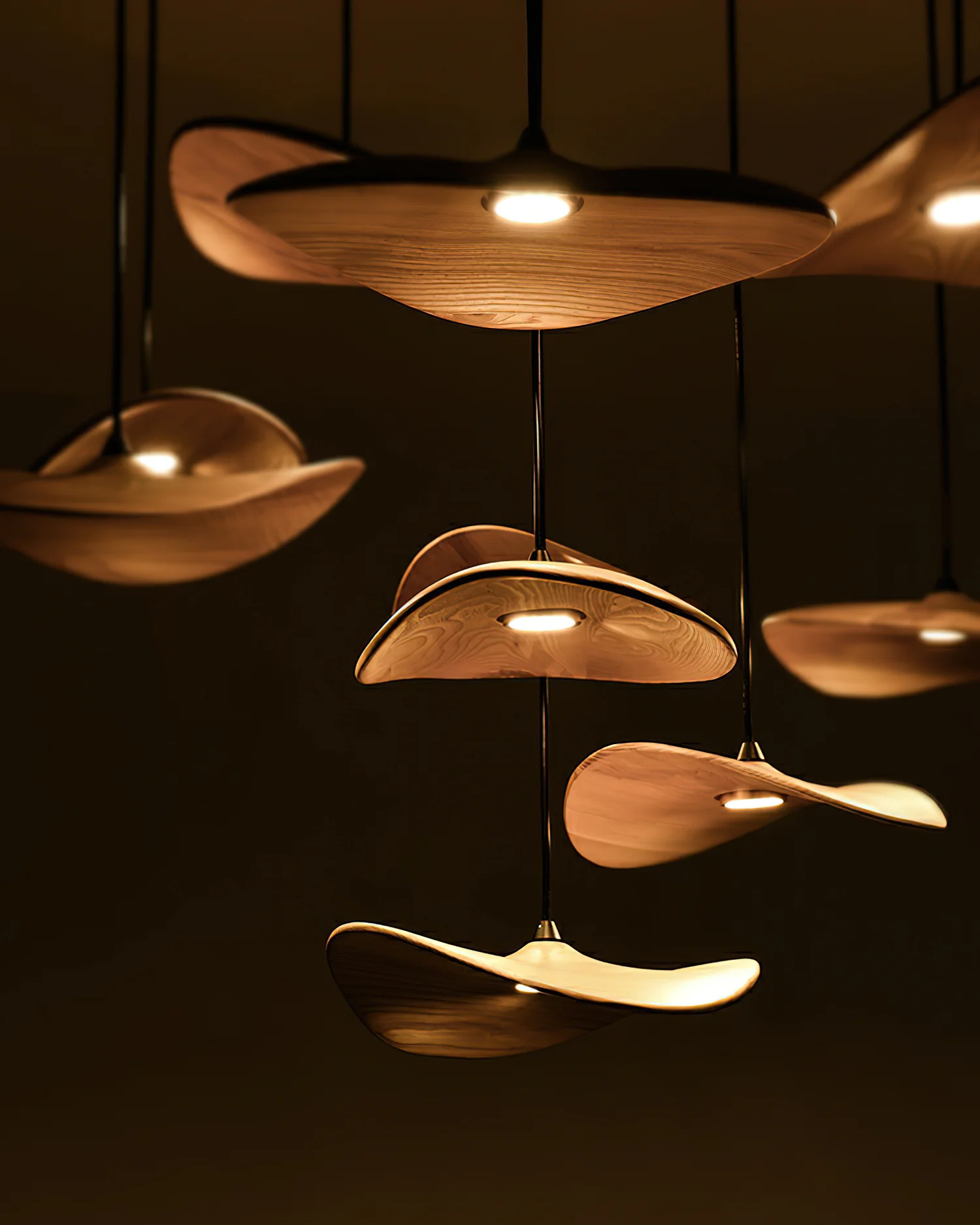 Empty Leaf Chandelier - Image 26