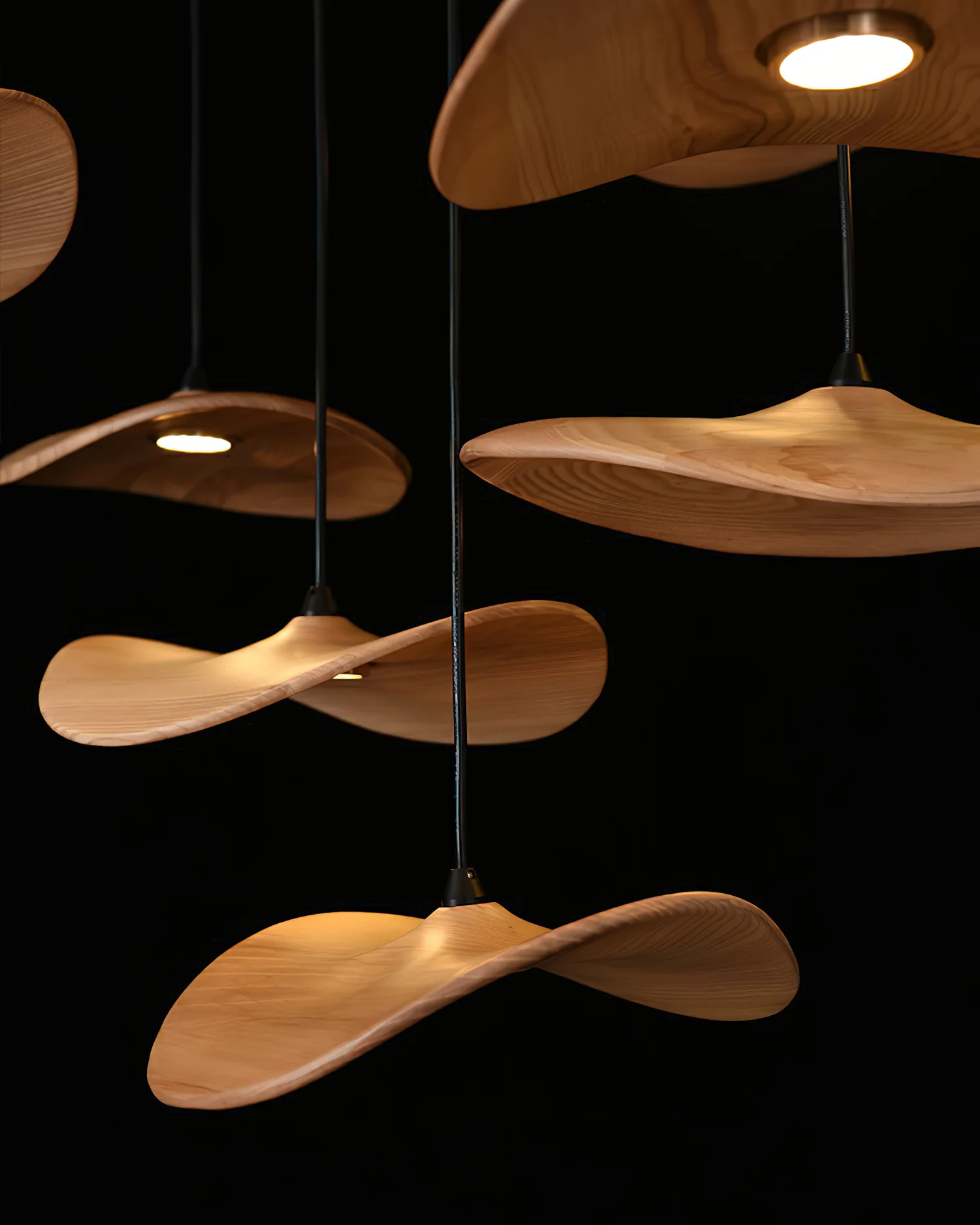 Empty Leaf Chandelier - Image 27