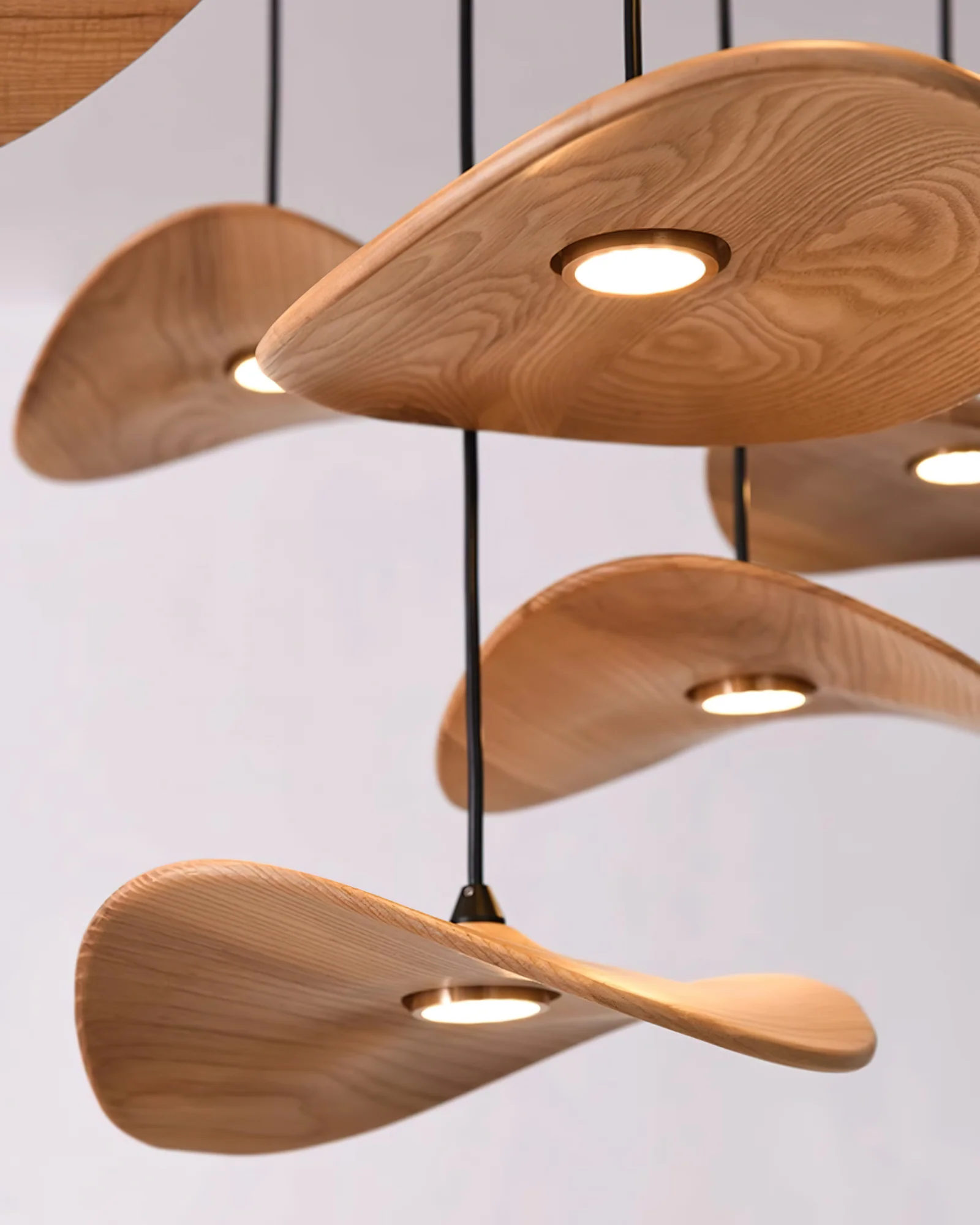 Empty Leaf Chandelier - Image 28