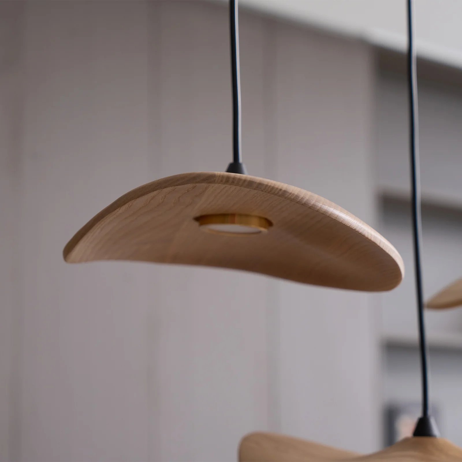 Empty Leaf Chandelier - Image 56