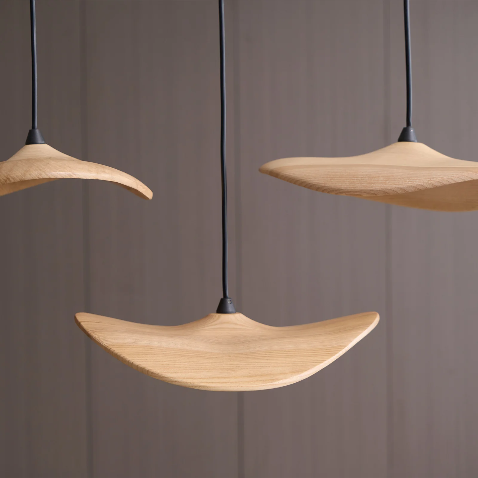 Empty Leaf Chandelier - Image 57